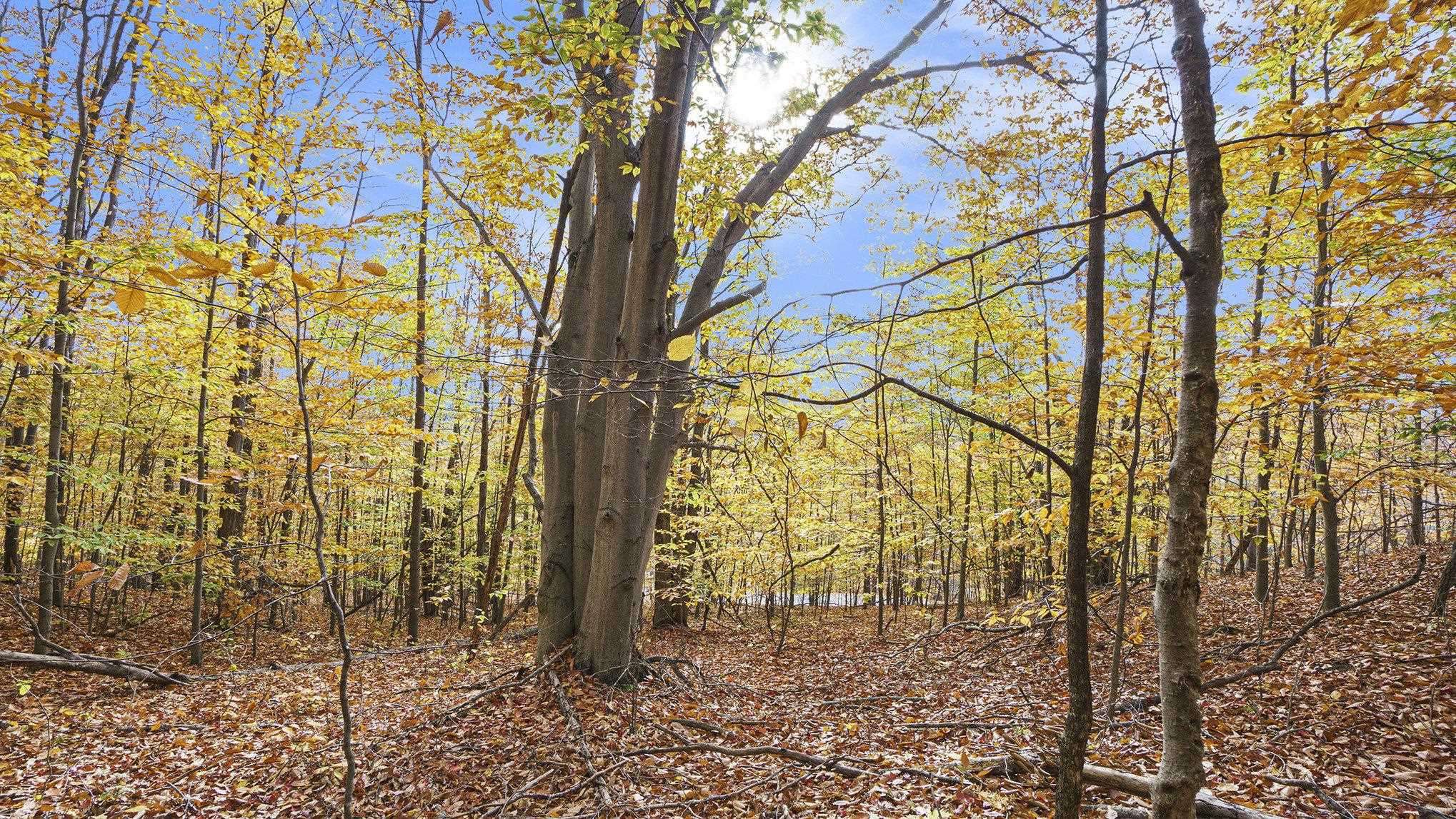 Thompsonville, MI 49683,Lot 12 Mountain Woods