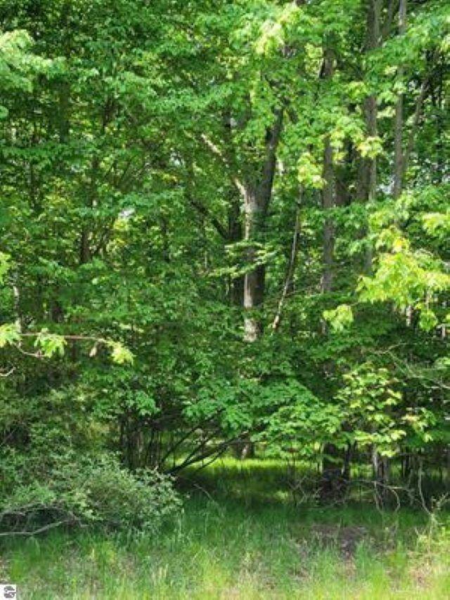 Lake Isabella, MI 48893,1144 Queensway Drive