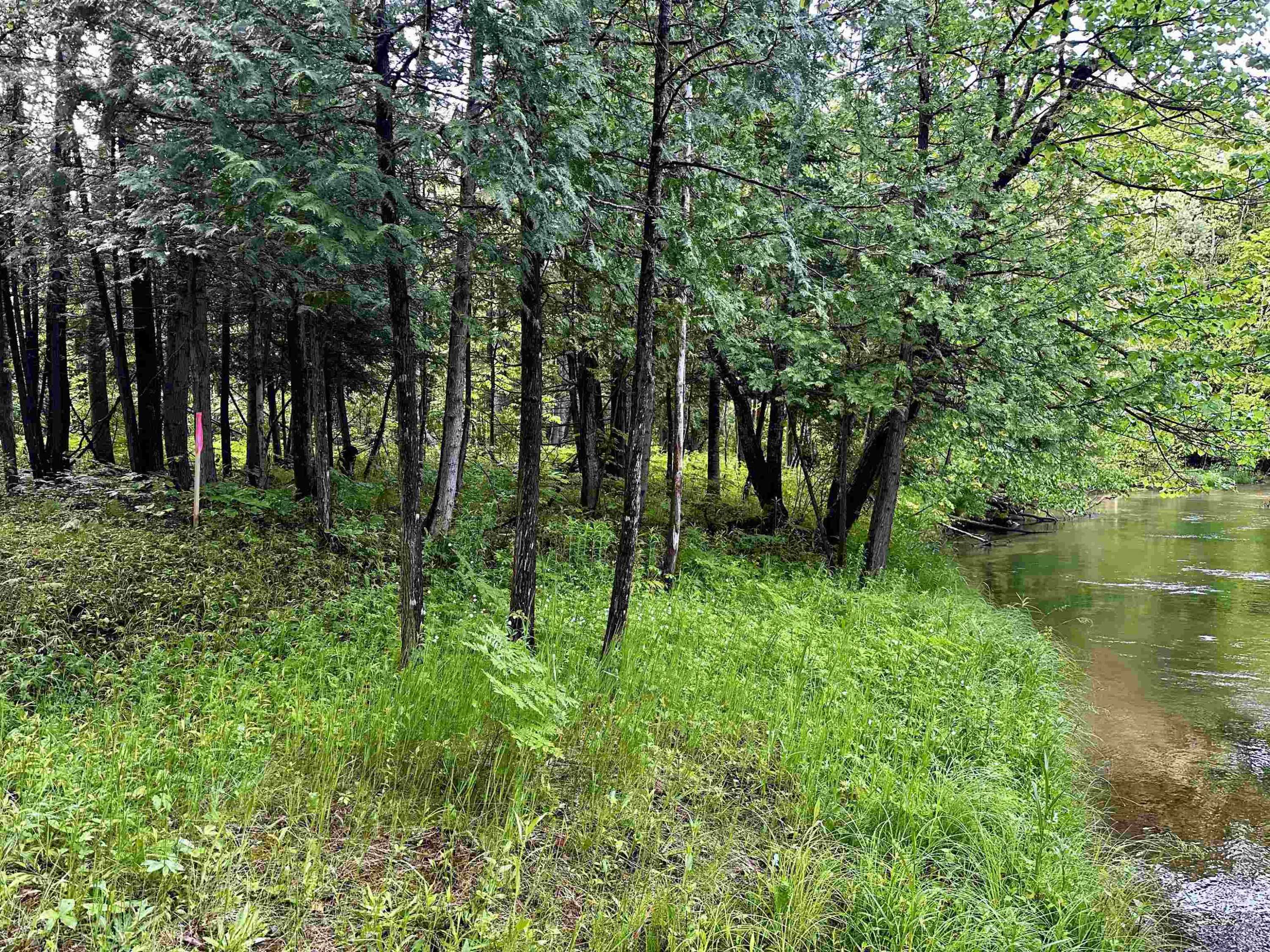 Thompsonville, MI 49683,Lot 16 Pine Meadows