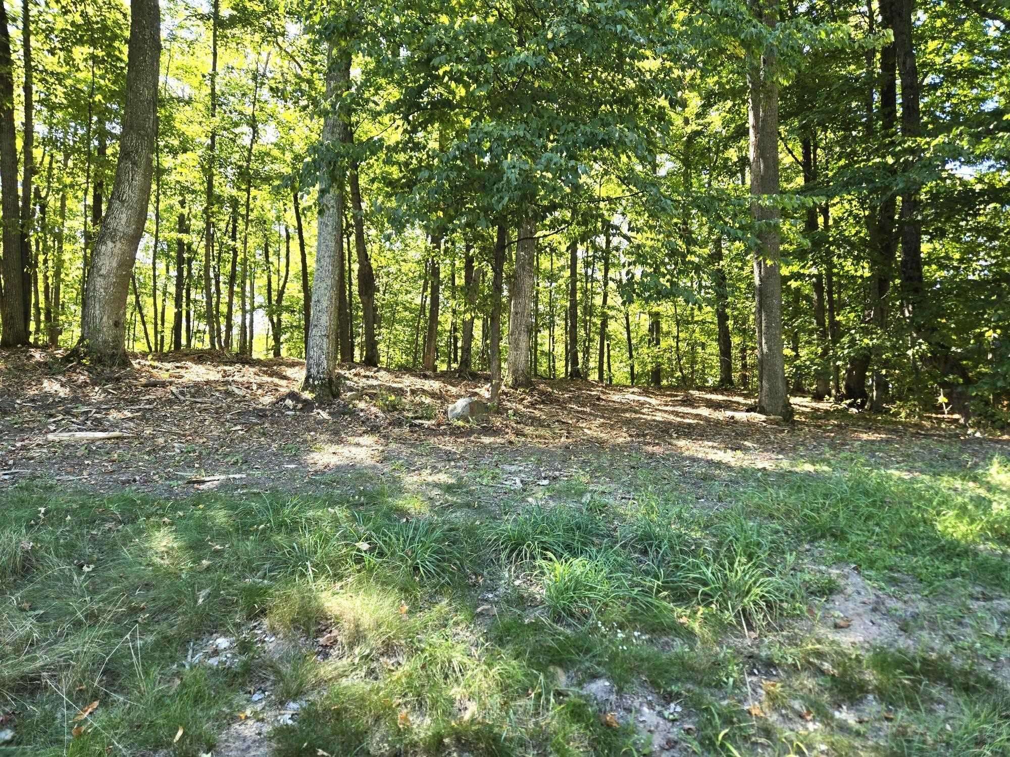 Beulah, MI 49617,004 Heather Ridge Trail