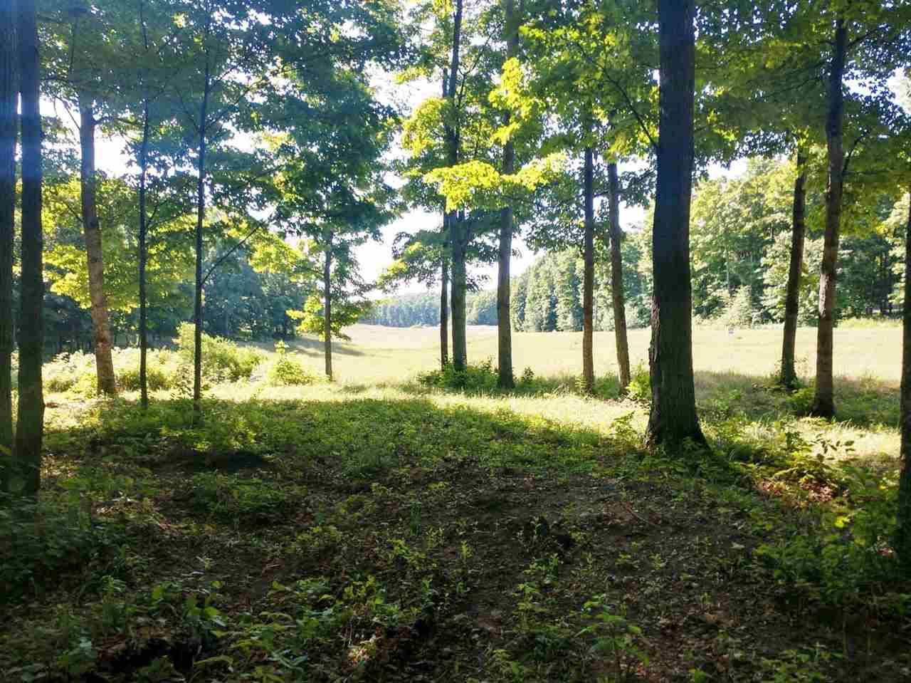 Beulah, MI 49617,004 Heather Ridge Trail