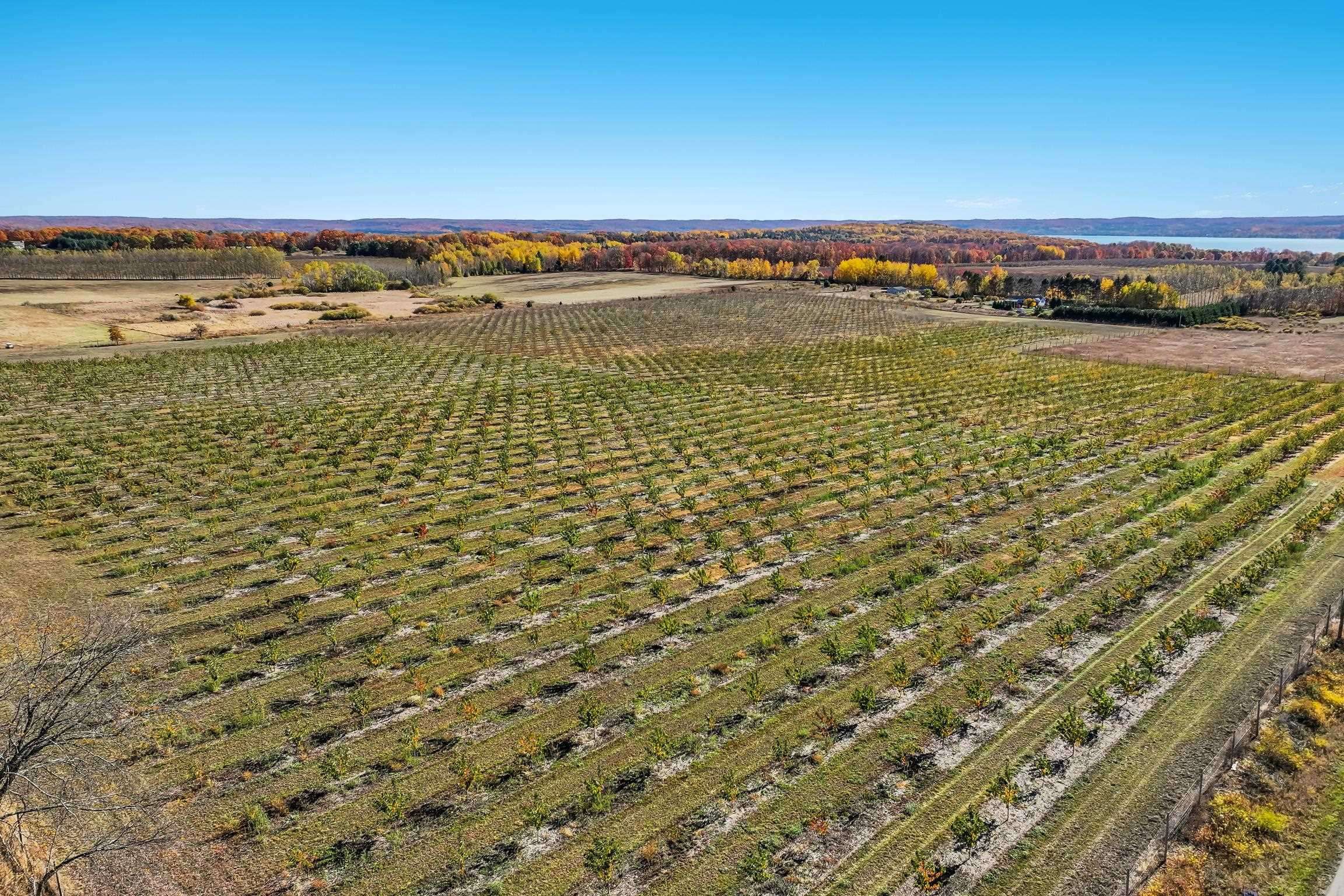 Rapid City, MI 49676,Lot 1 Cherry Avenue