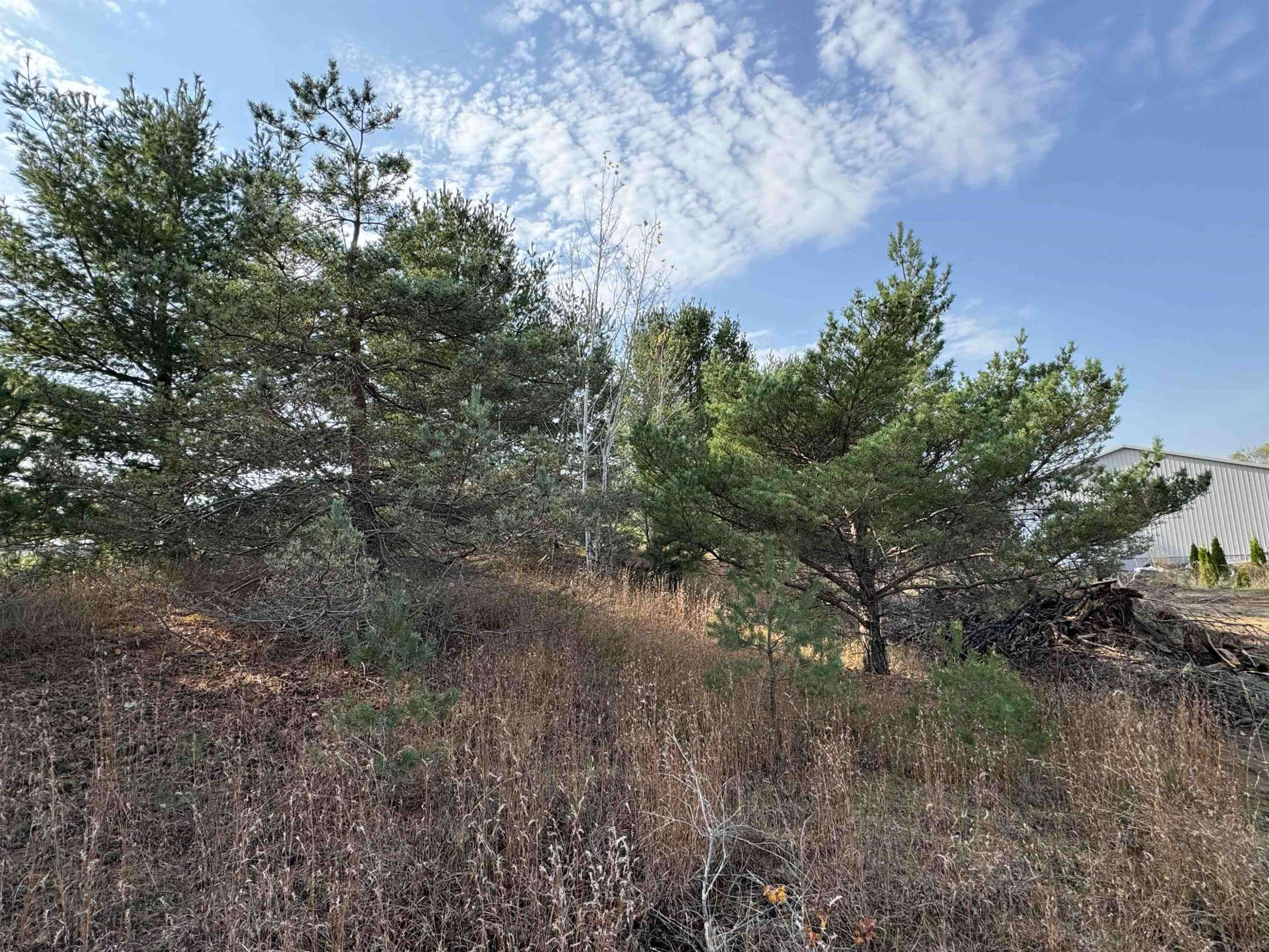 Traverse City, MI 49685,1863 Perrys Loop