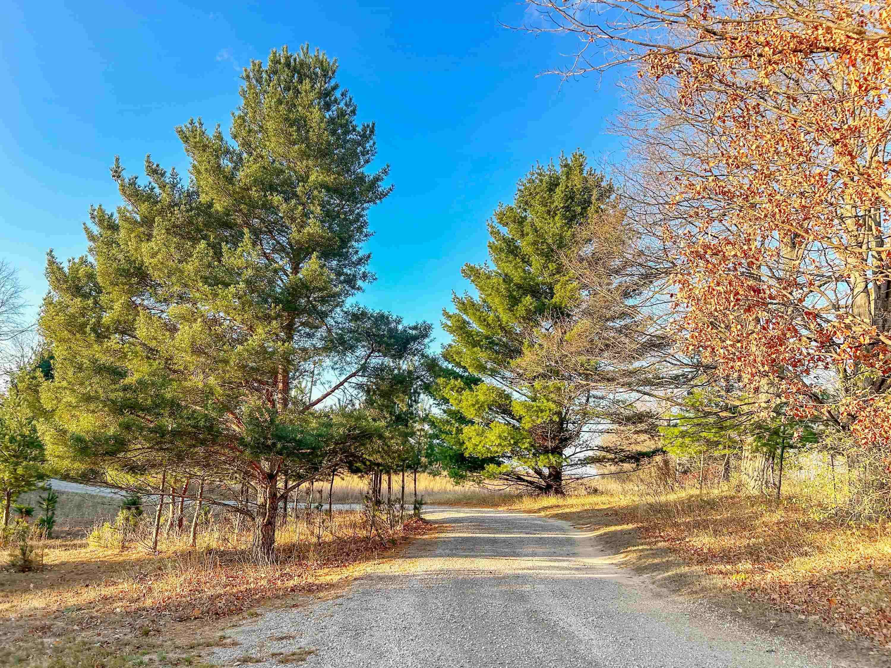 Williamsburg, MI 49690,Baggs Road