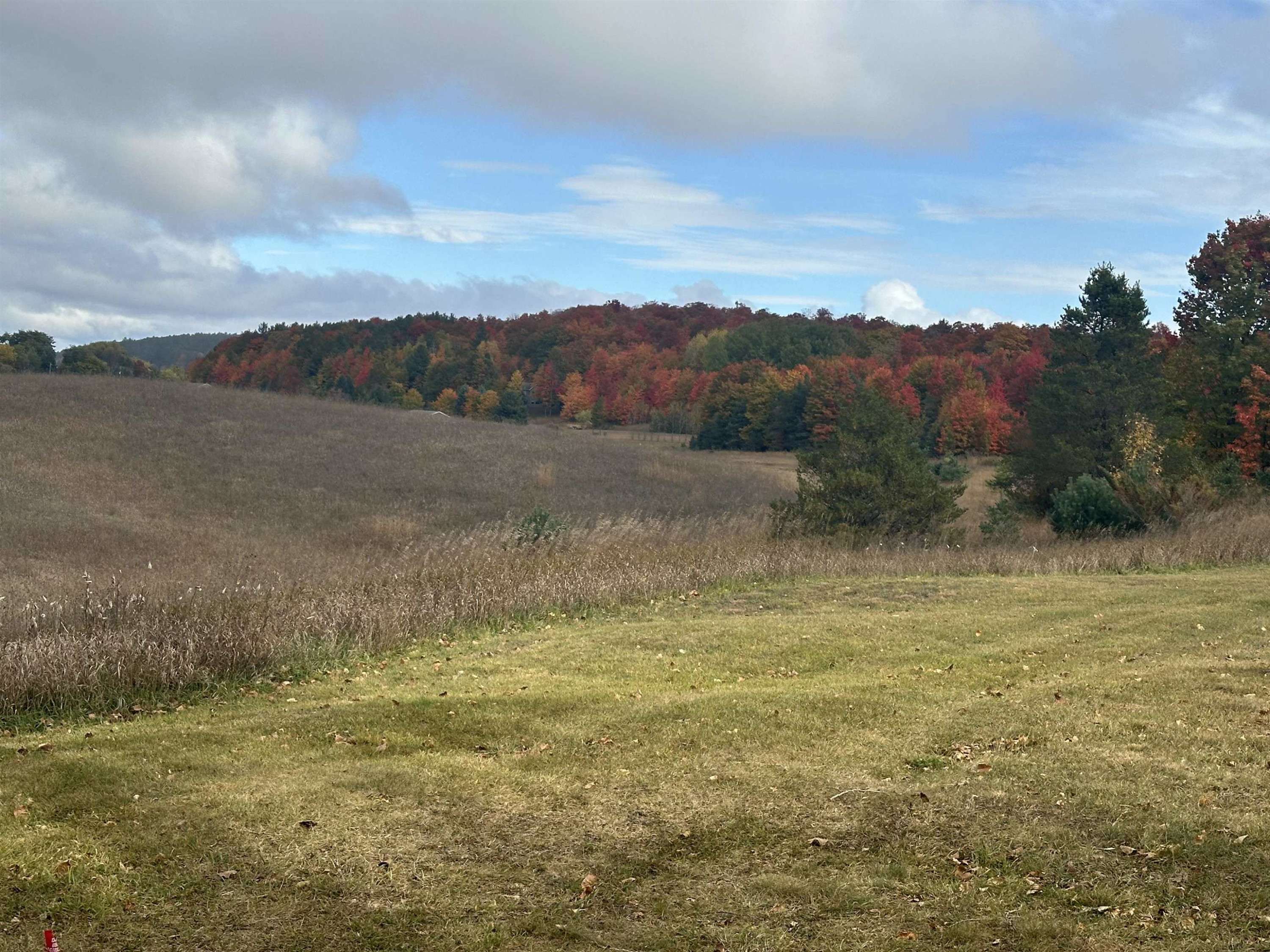 Lake Leelanau, MI 49621,40 Acres S Schomberg