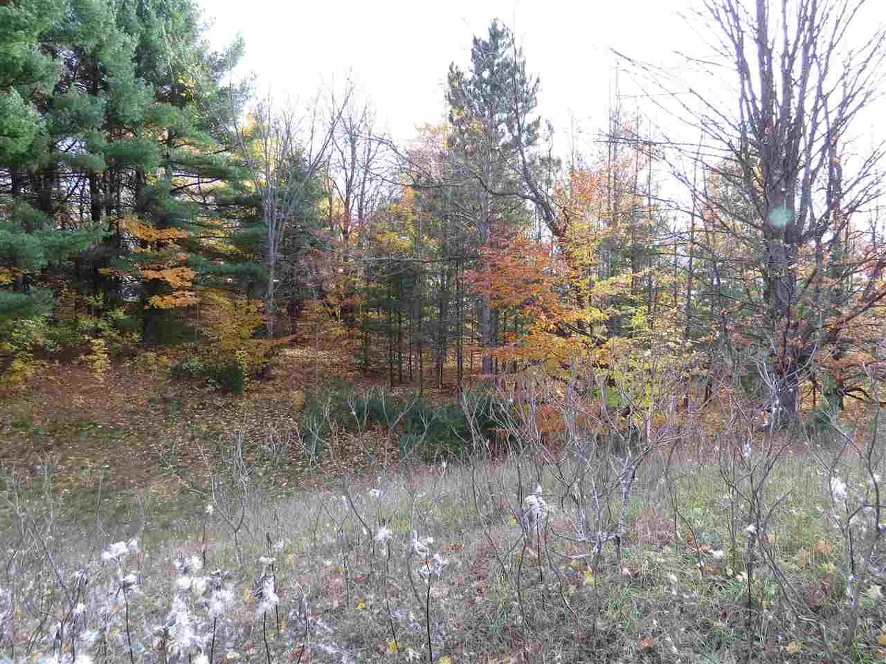 Kingsley, MI 49649,Lot 63 Eden