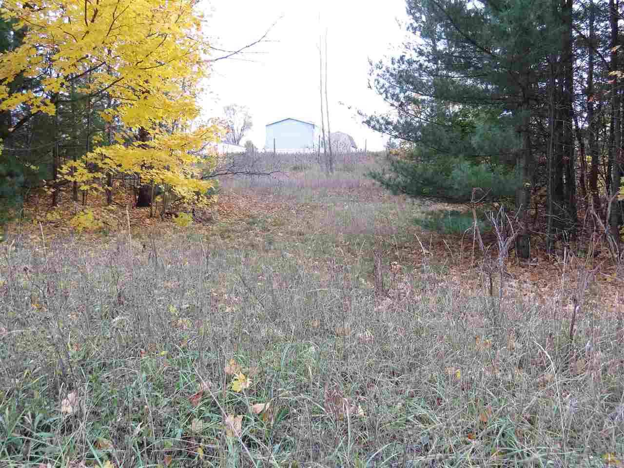 Kingsley, MI 49649,Lot 67 Eden