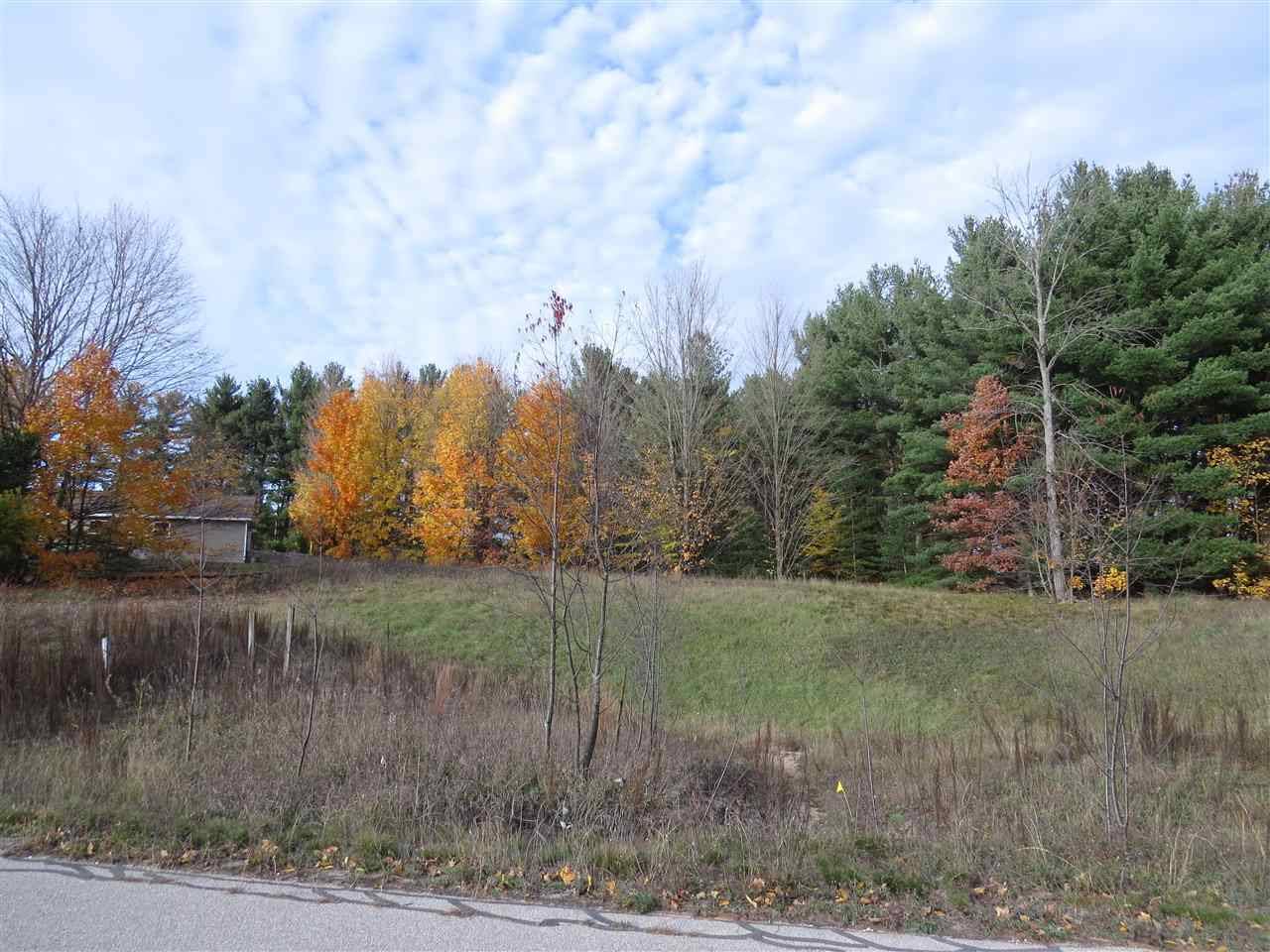 Kingsley, MI 49649,Lot 95 Eden