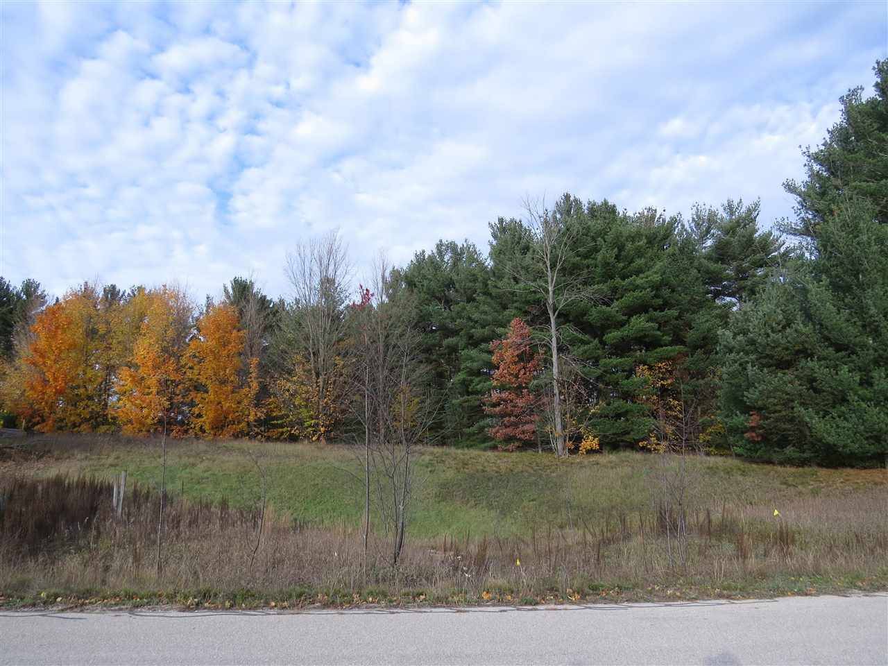 Kingsley, MI 49649,Lot 95 Eden