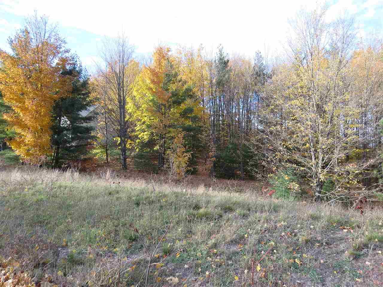 Kingsley, MI 49649,Lot 98 Eden