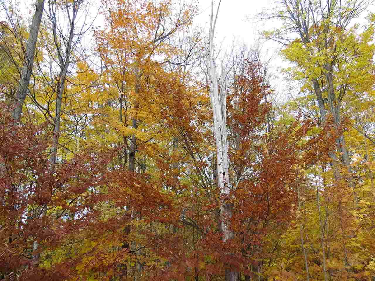 Kingsley, MI 49649,Lot 80 Eden Street
