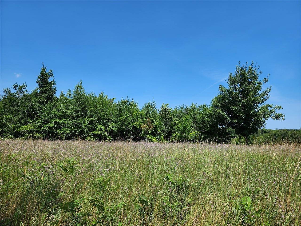 Suttons Bay, MI 49682,00 N Blue Water Court