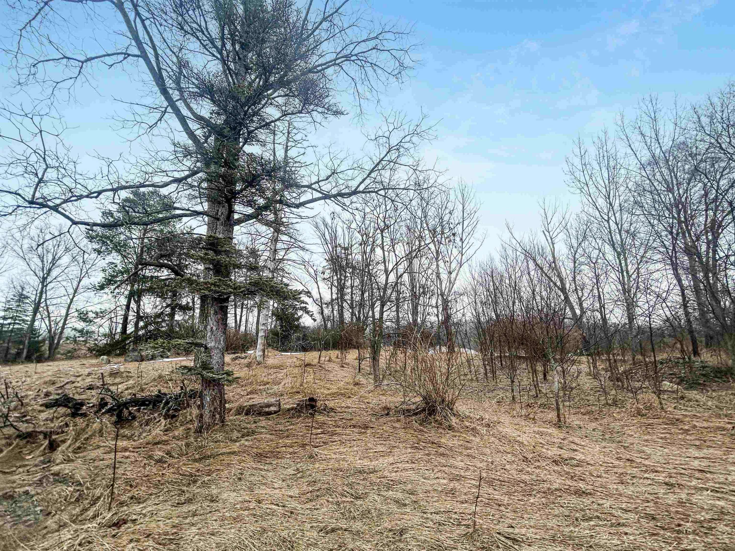 Traverse City, MI 49686,23 Cinnamon Lane