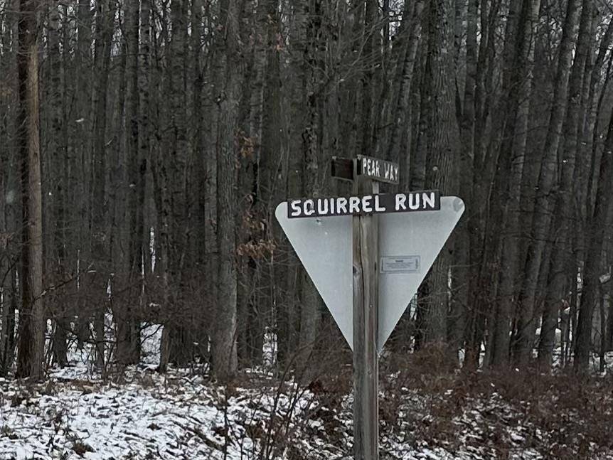 Farwell, MI 48622,Lot 40 Squirrel