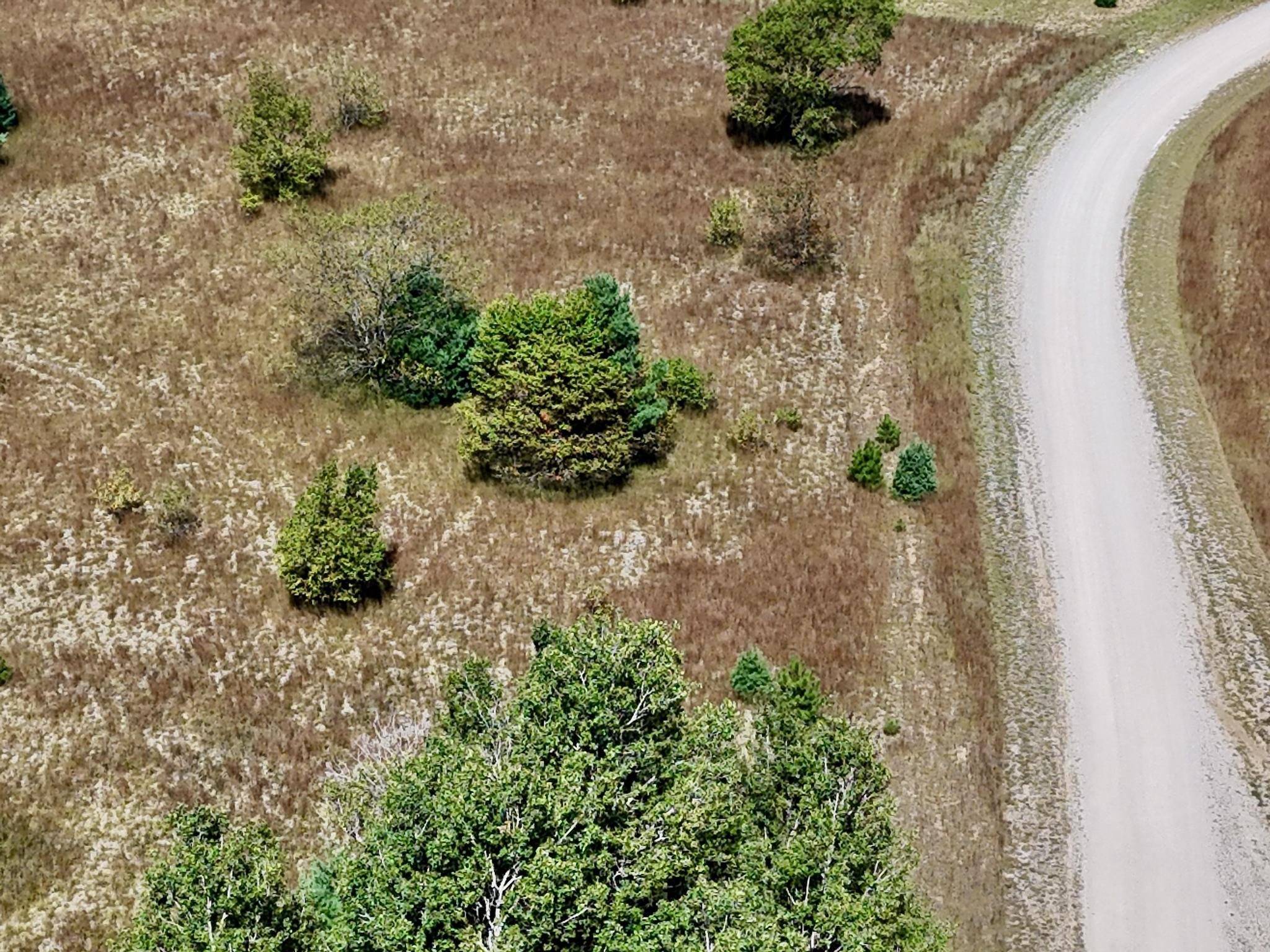 Kalkaska, MI 49646,682 Grouse Drive SW