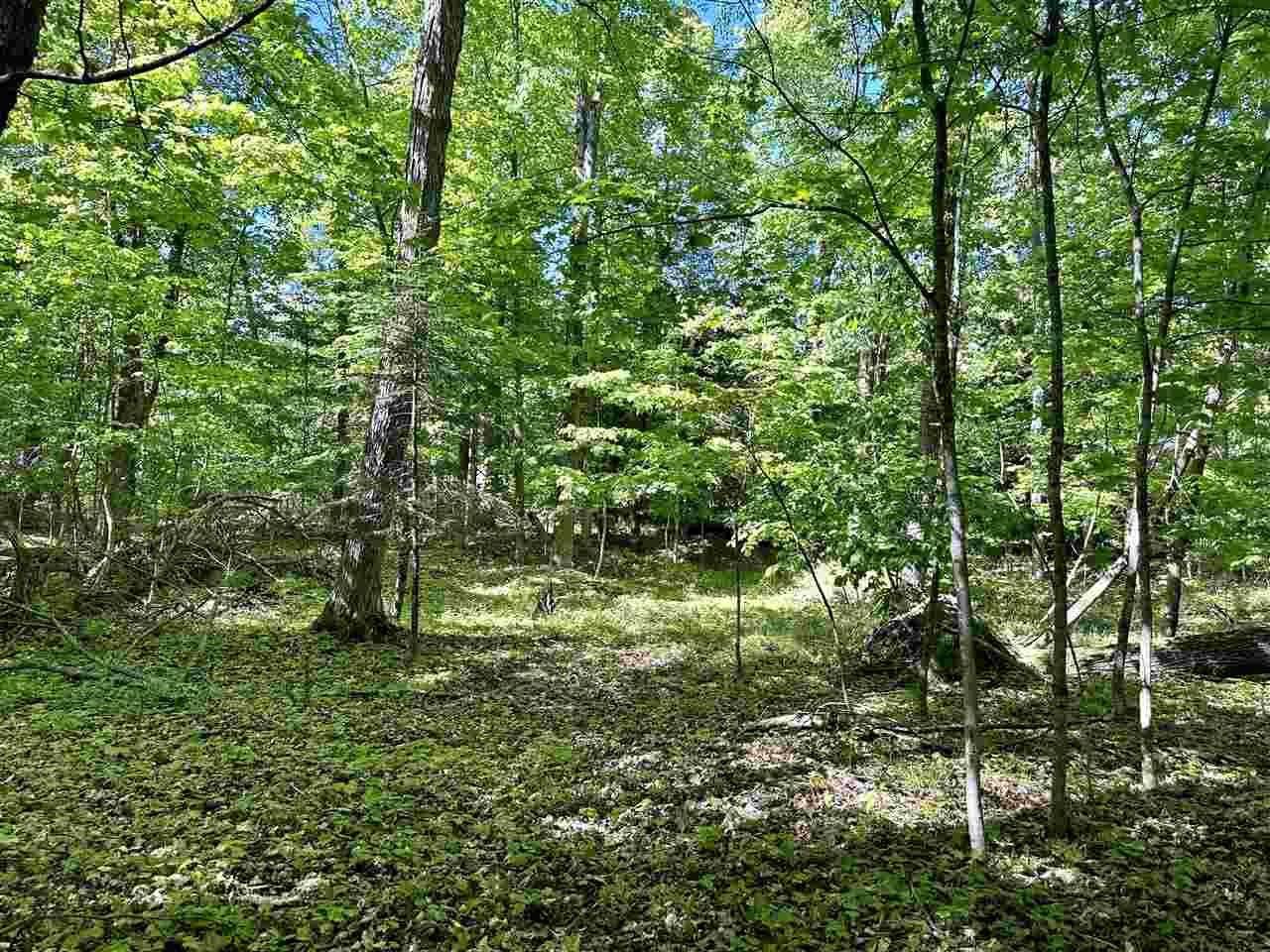 Beaver Island, MI 49782,Lots 56 & 57 Spaulding Drive