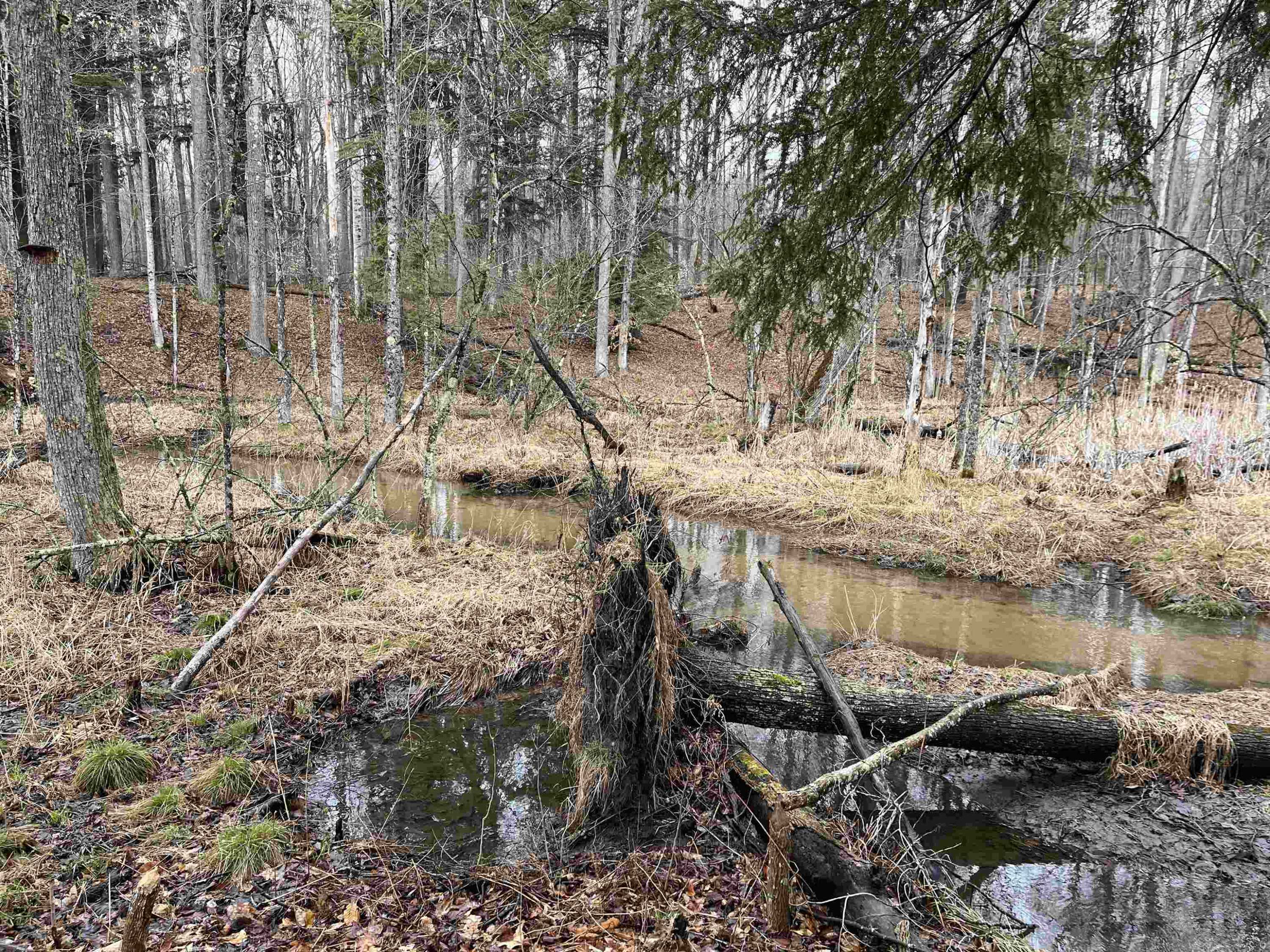 Wellston, MI 49689,M-55