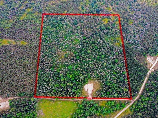 Kalkaska, MI 49646,TBD Island Lake Road