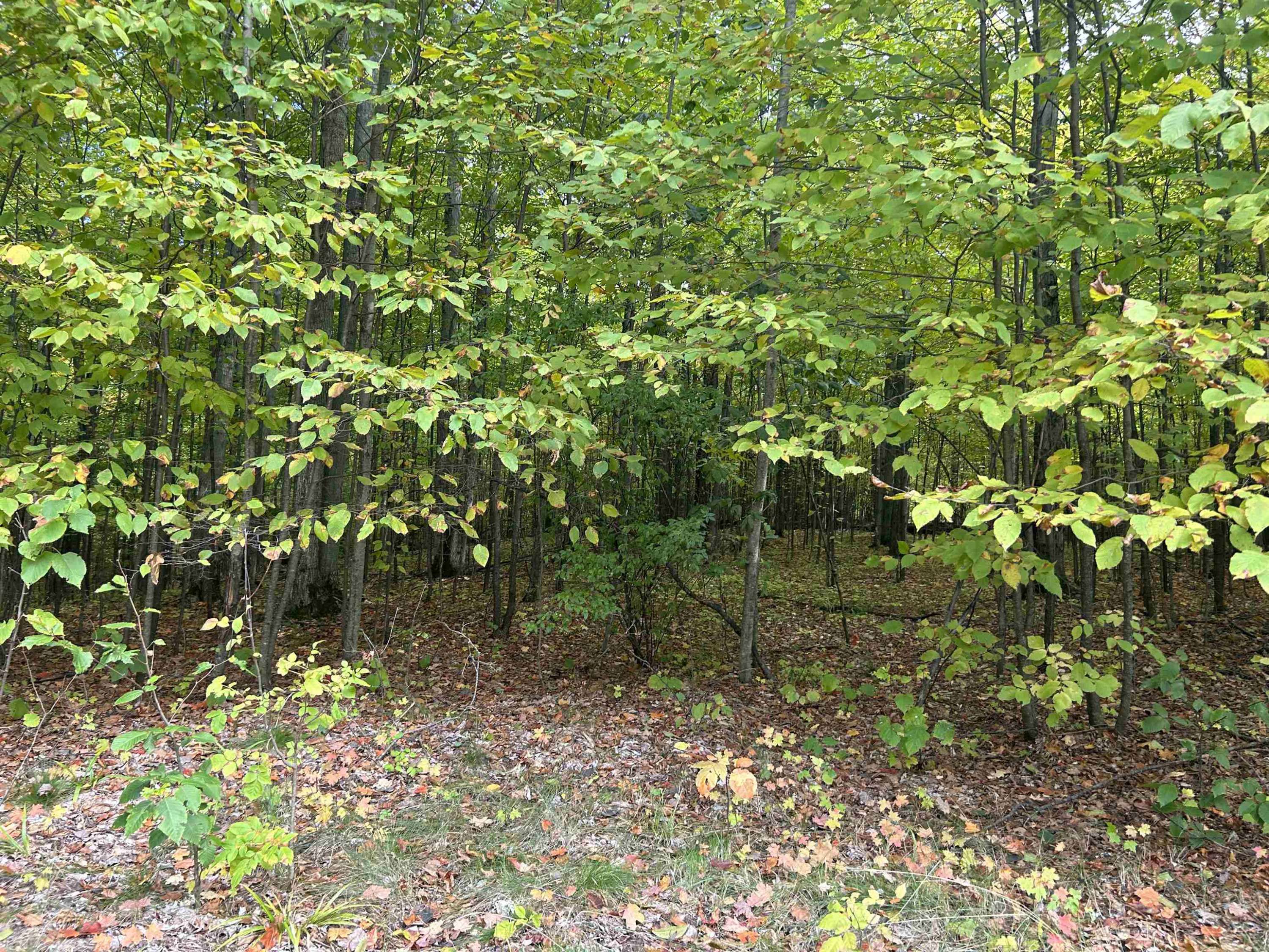 Bellaire, MI 49615,0 Robinson Ridge