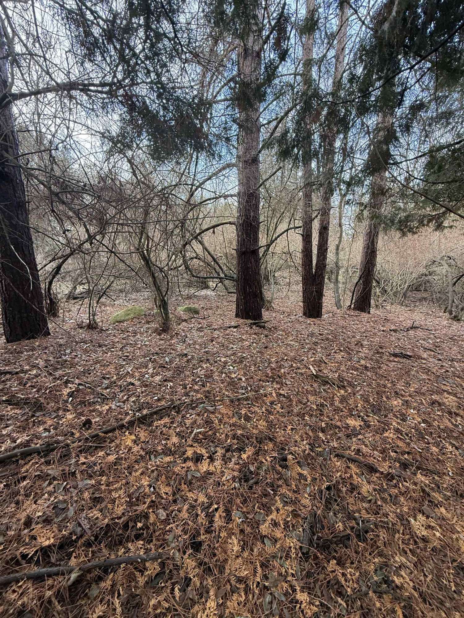 Mount Pleasant, MI 48858,TBD Cedar Drive