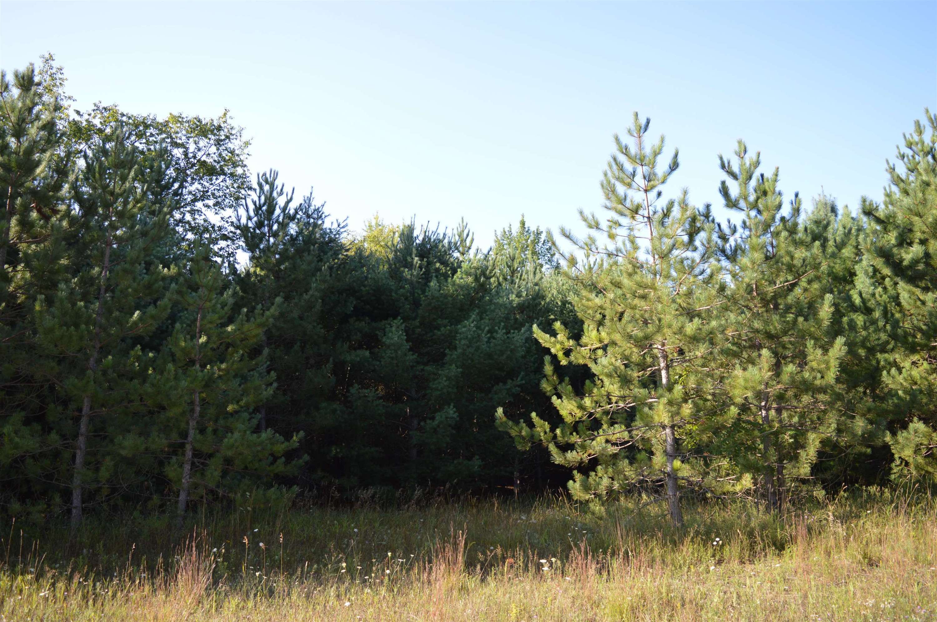 Mancelona, MI 49659,W Leonard Road