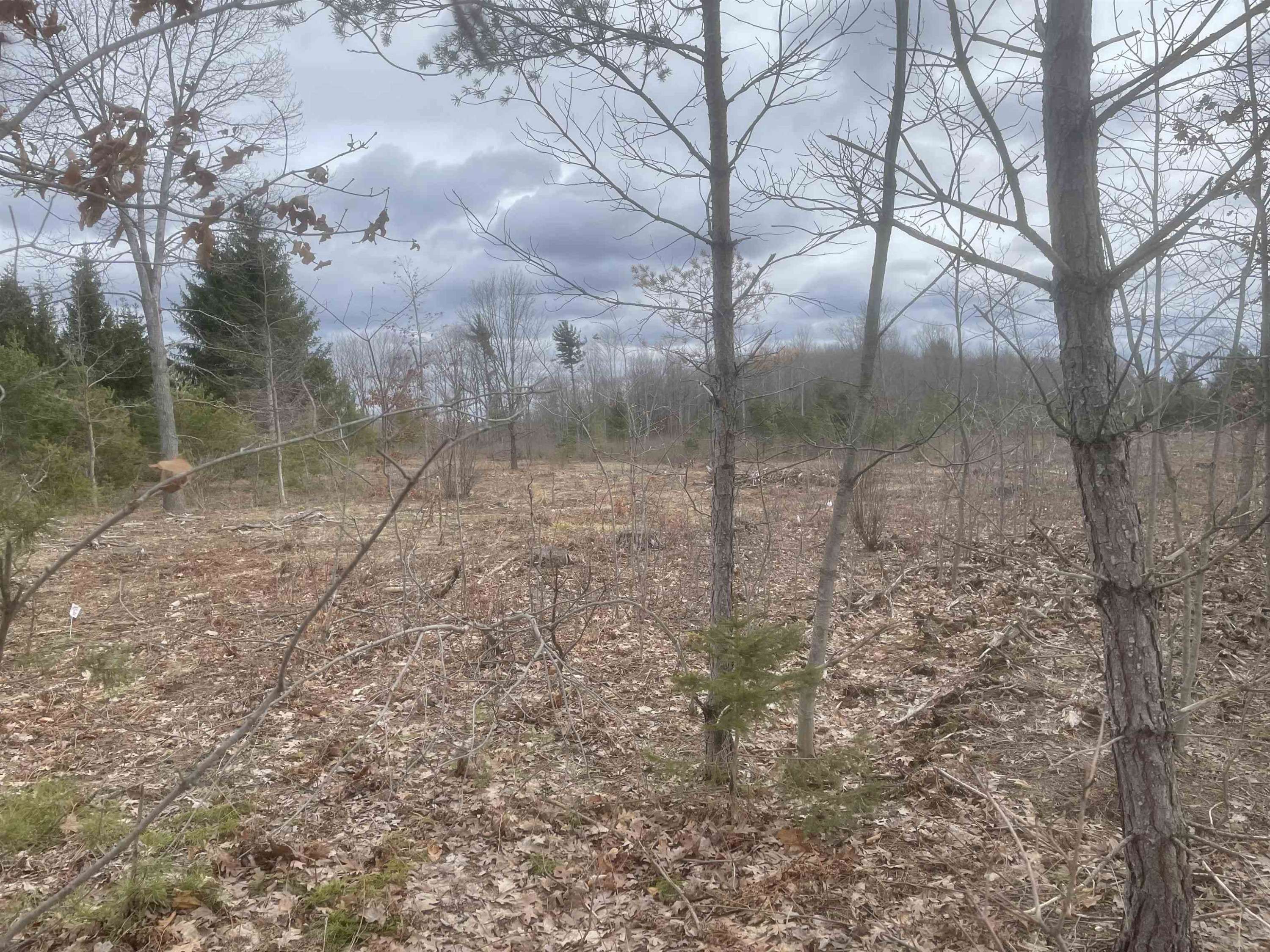 Honor, MI 49640,Carmean Road