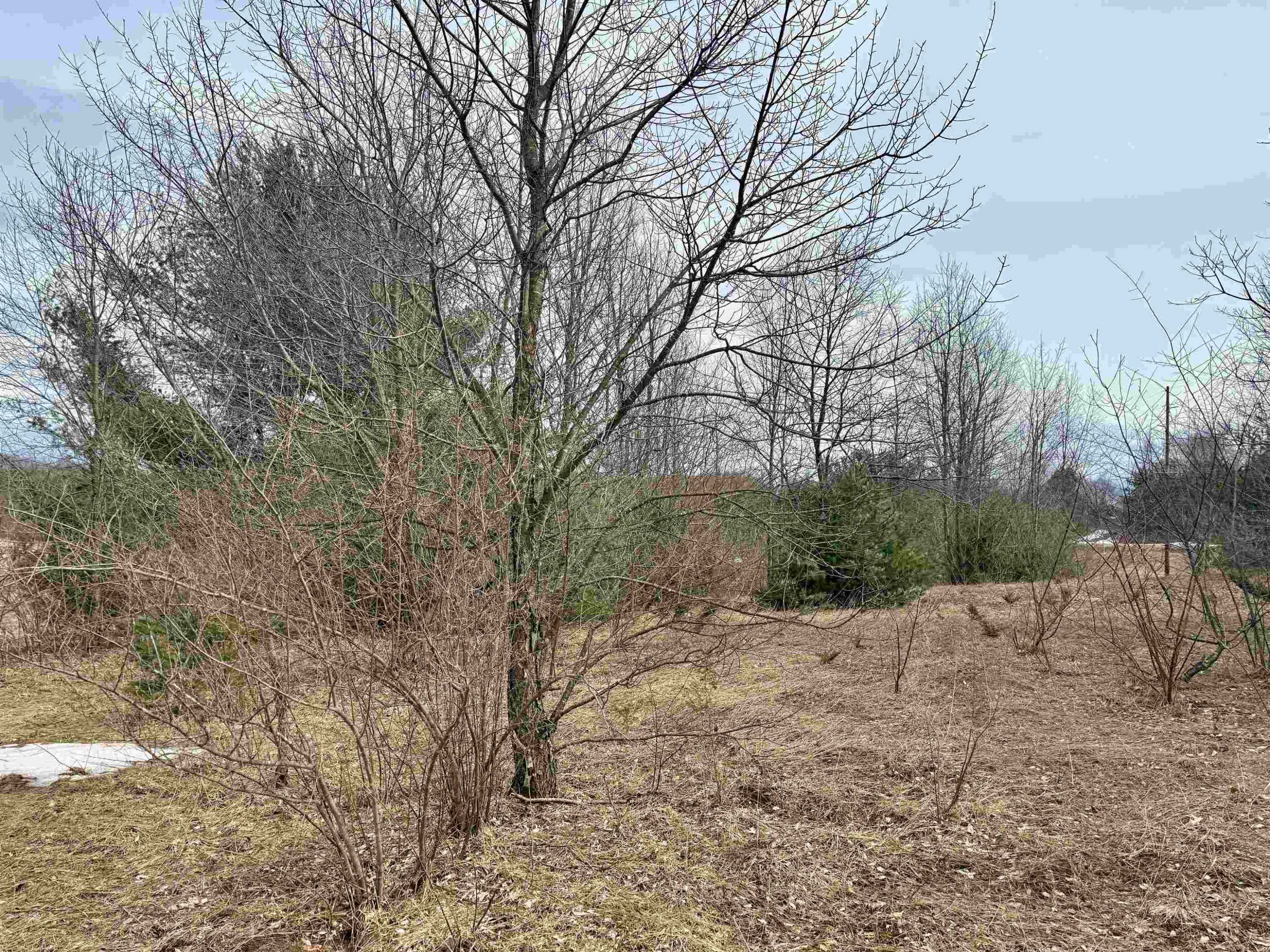 Maple City, MI 49664,000 W Trumbull Road
