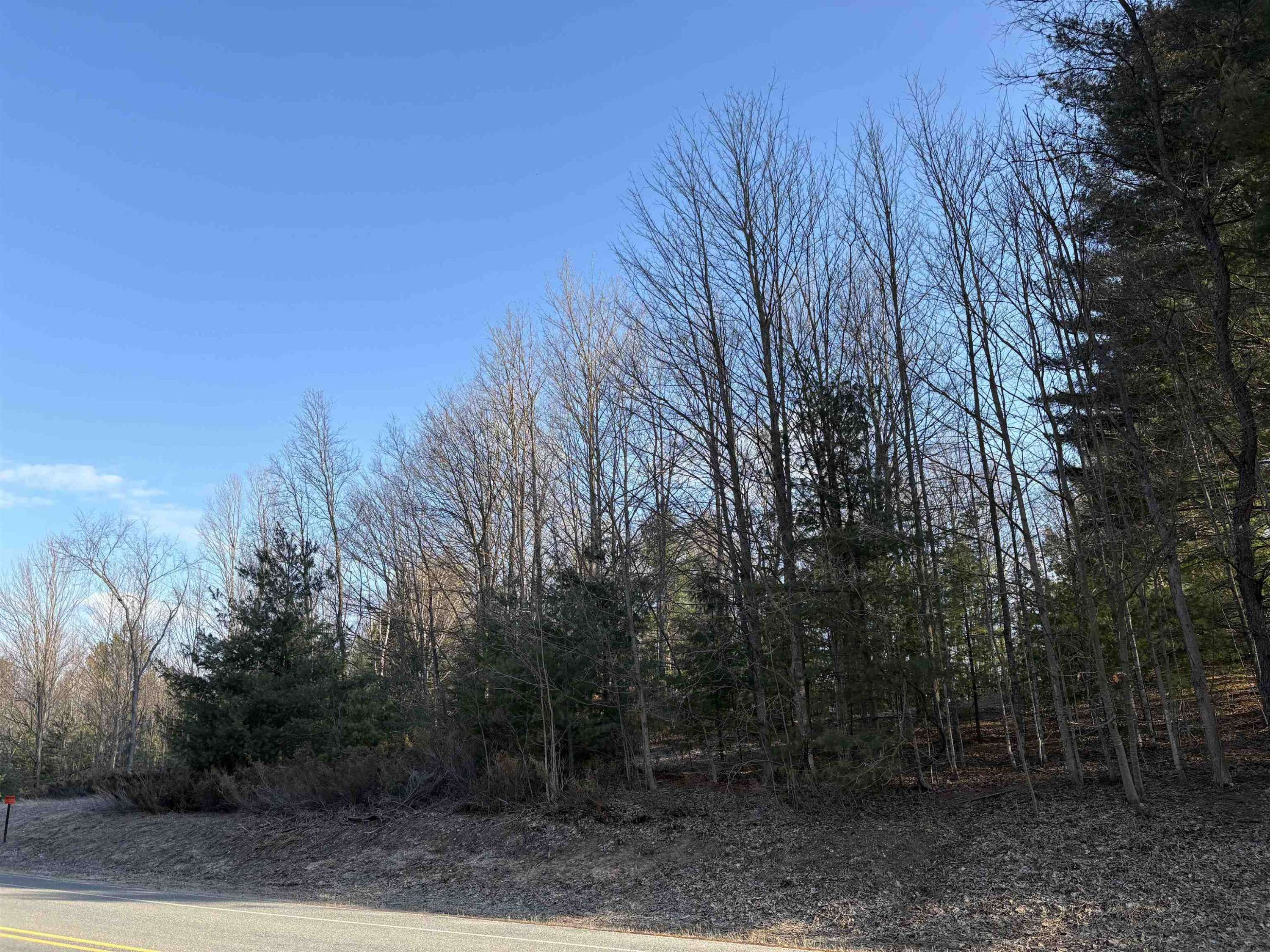 Maple City, MI 49664,W Trumbull Road