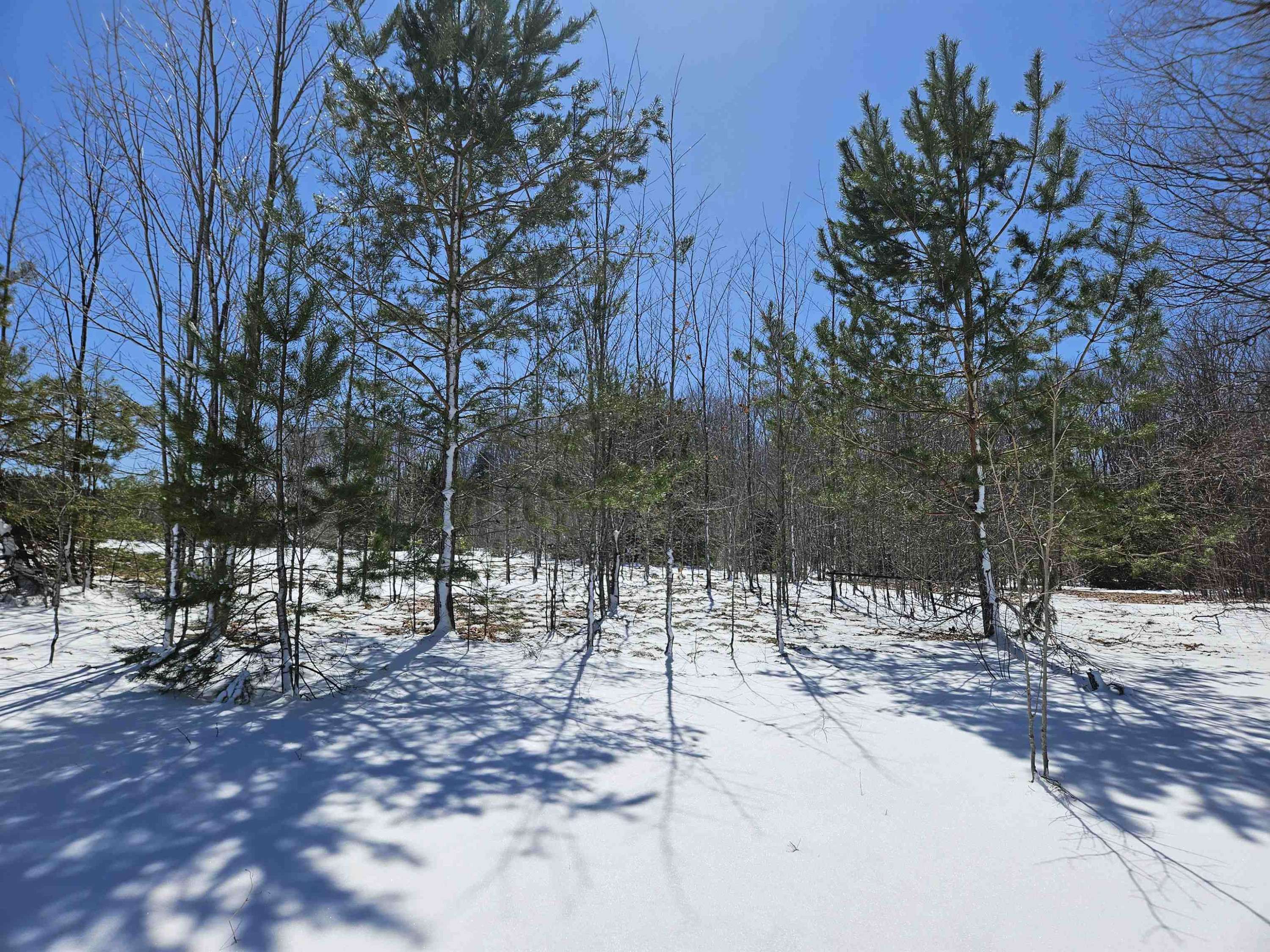 Kalkaska, MI 49646,0000 V/L C Grass Lake Road
