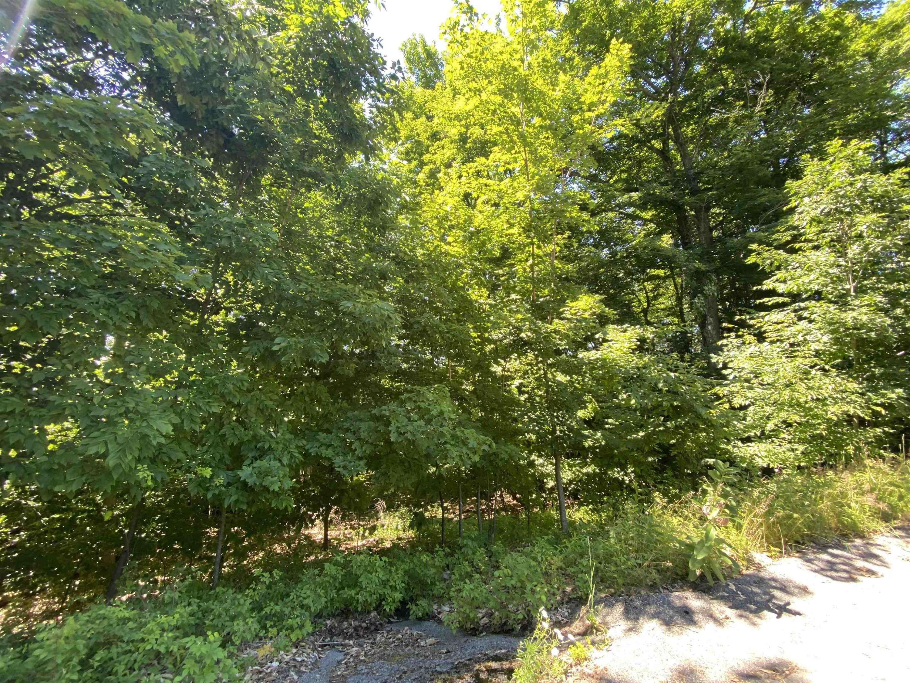 Cedar, MI 49621,Lot 9 S Club Drive