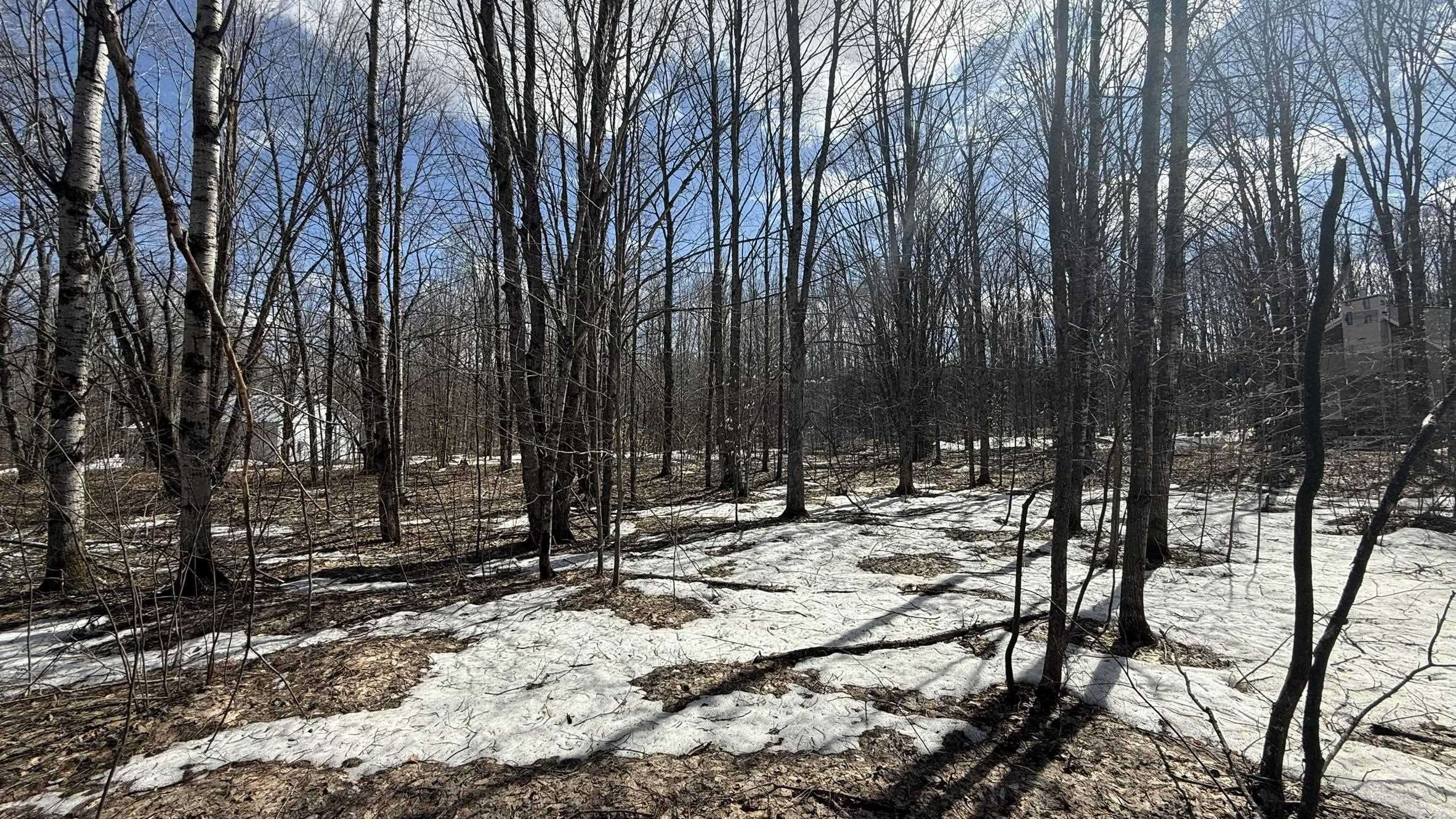 Mancelona, MI 49659,Lot 421 Northridge Drive