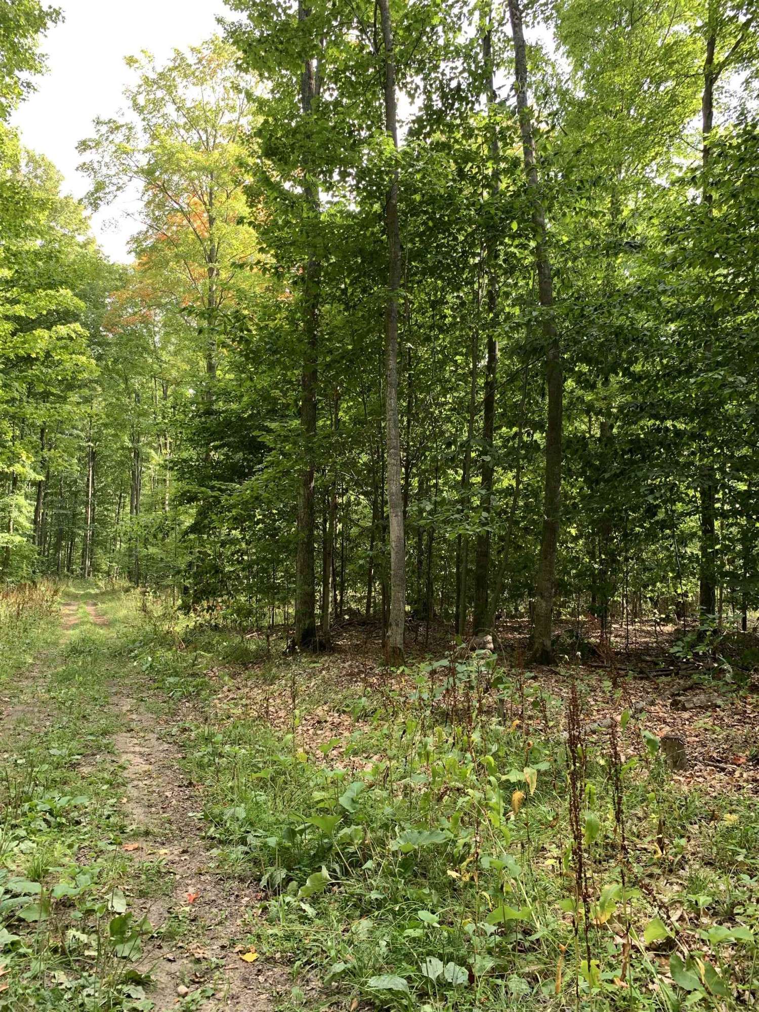 Levering, MI 49755,00 Keiser Road