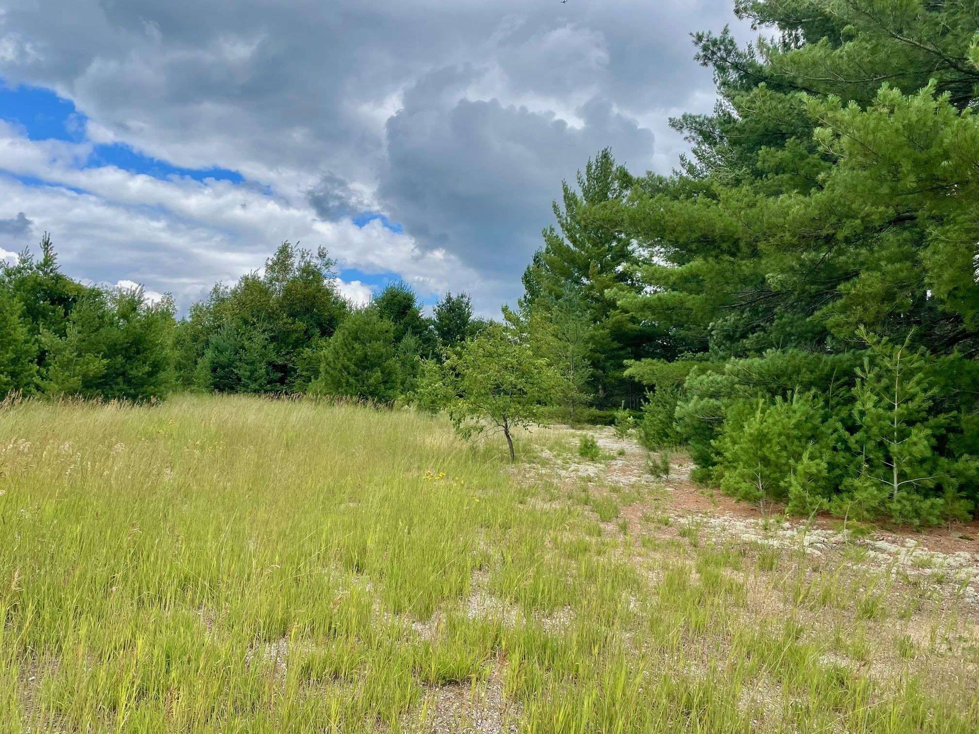 Kalkaska, MI 49646,969 Quail Drive