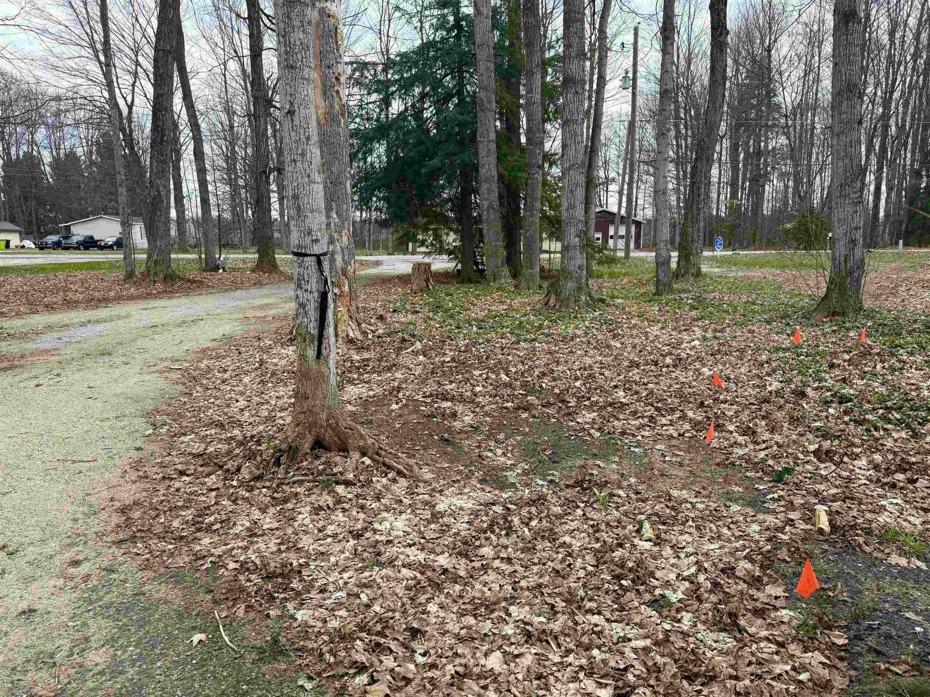Traverse City, MI 49685,4604 Luanne Lane
