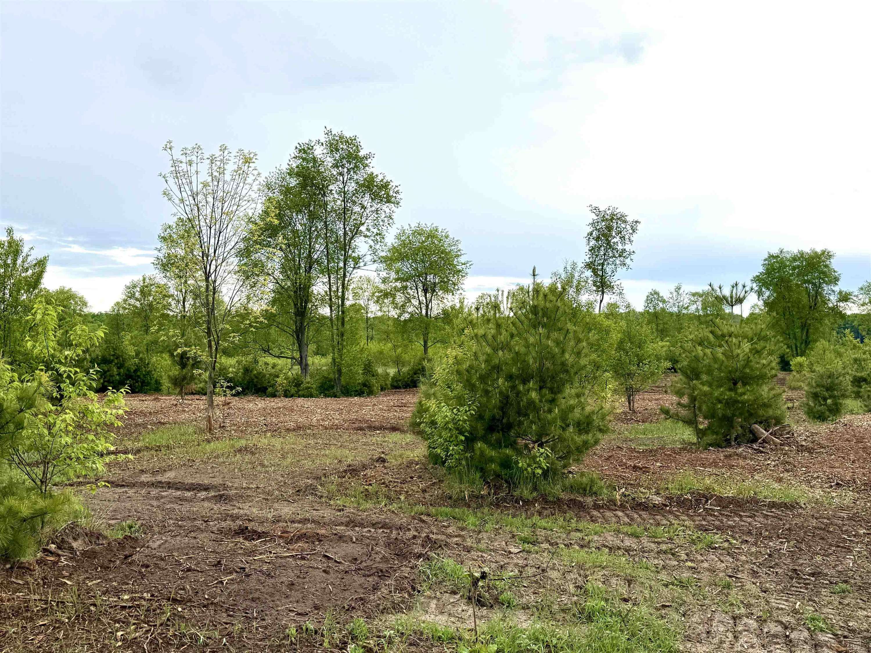 Maple City, MI 49664,Parcel A8 S Bright Road