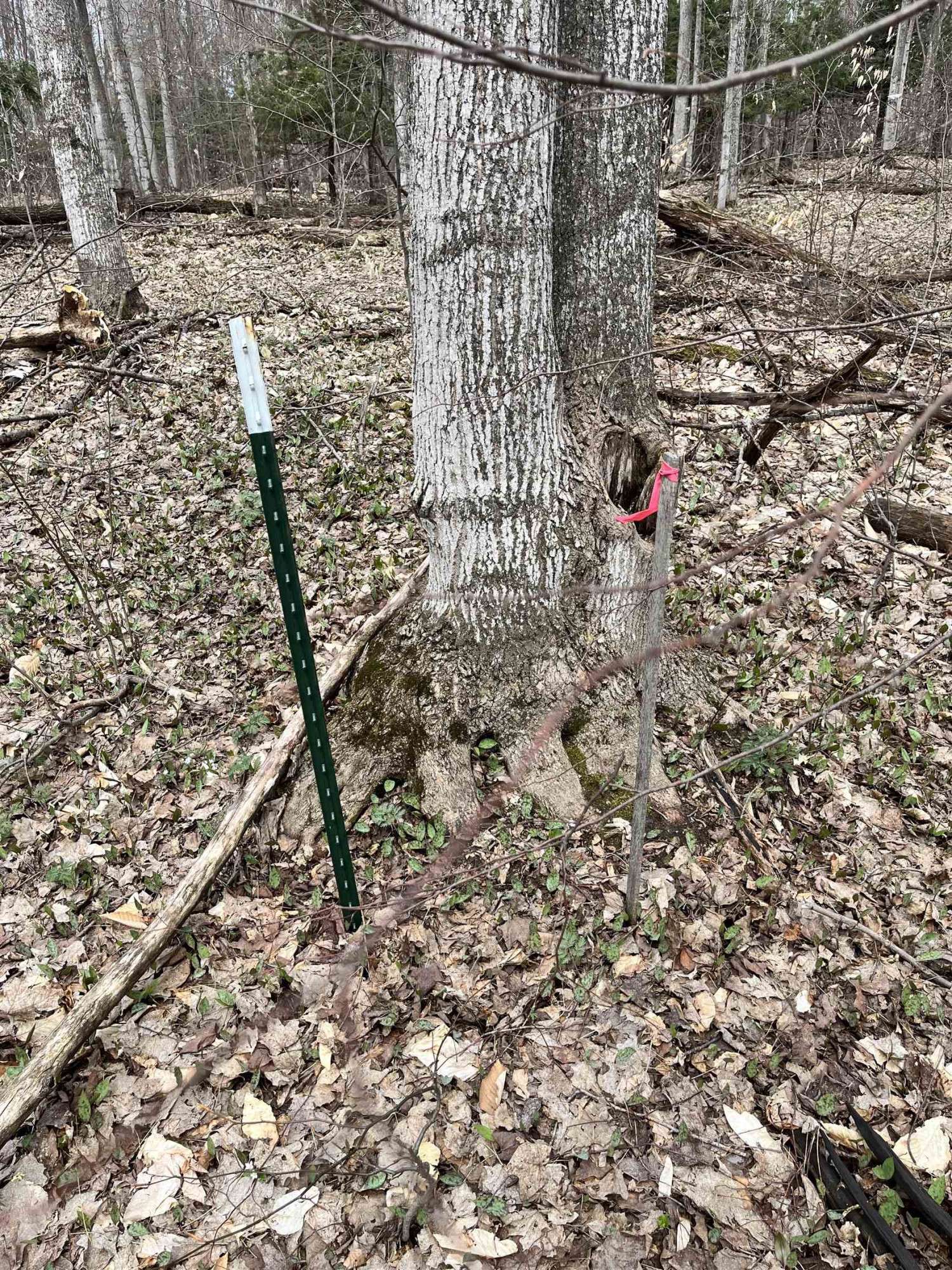 Traverse City, MI 49684,Paradise Ridge Trail
