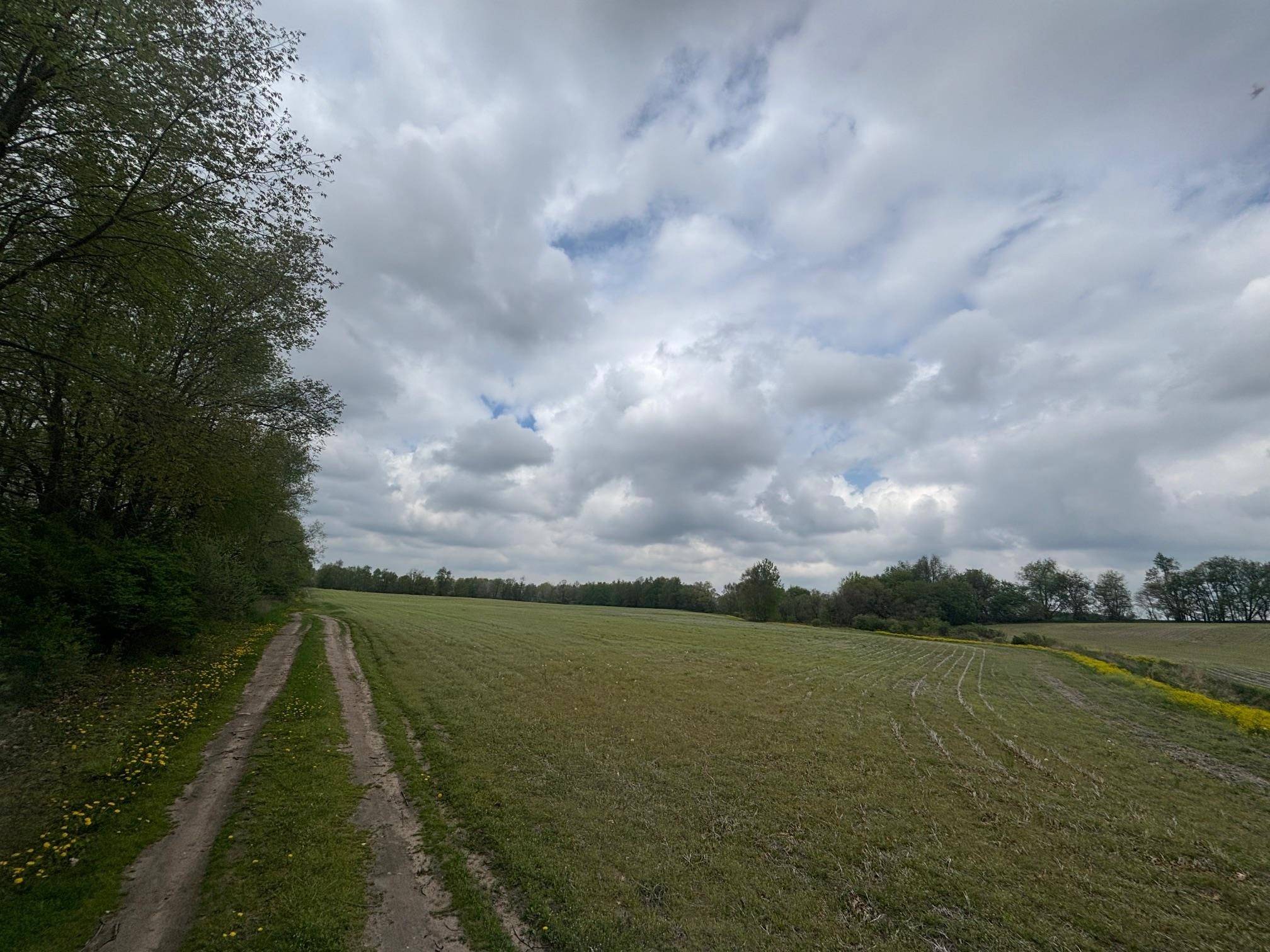 Edmore, MI 48829,TBD Neff Road