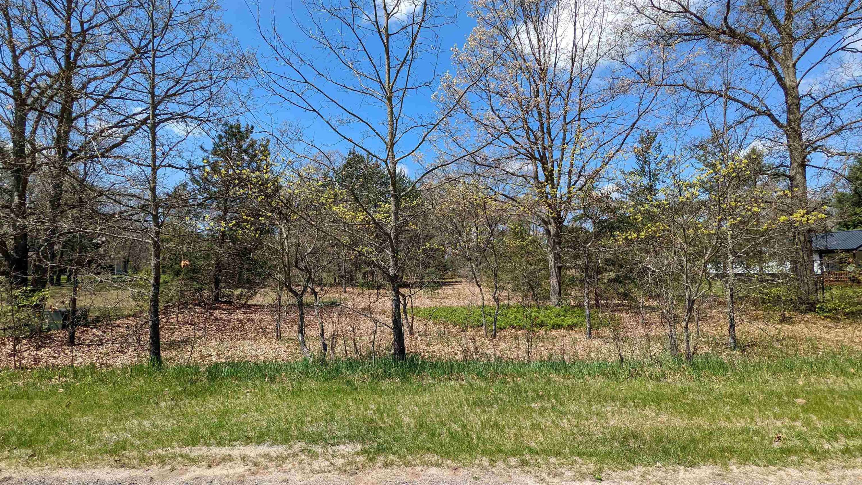 Brethren, MI 49645,Lot 19 Wingert Street