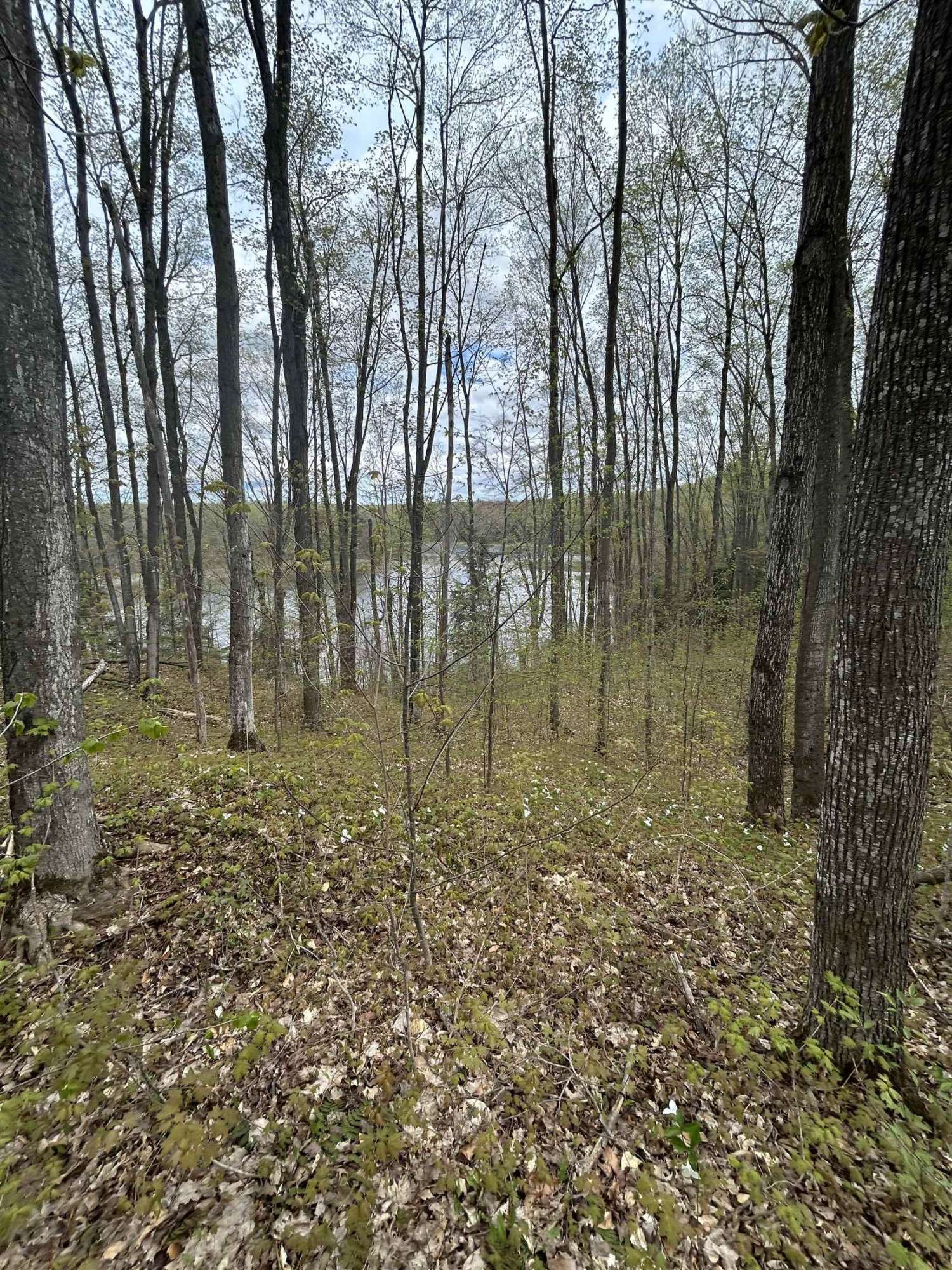 Alba, MI 49611,V/L Hardwood Drive
