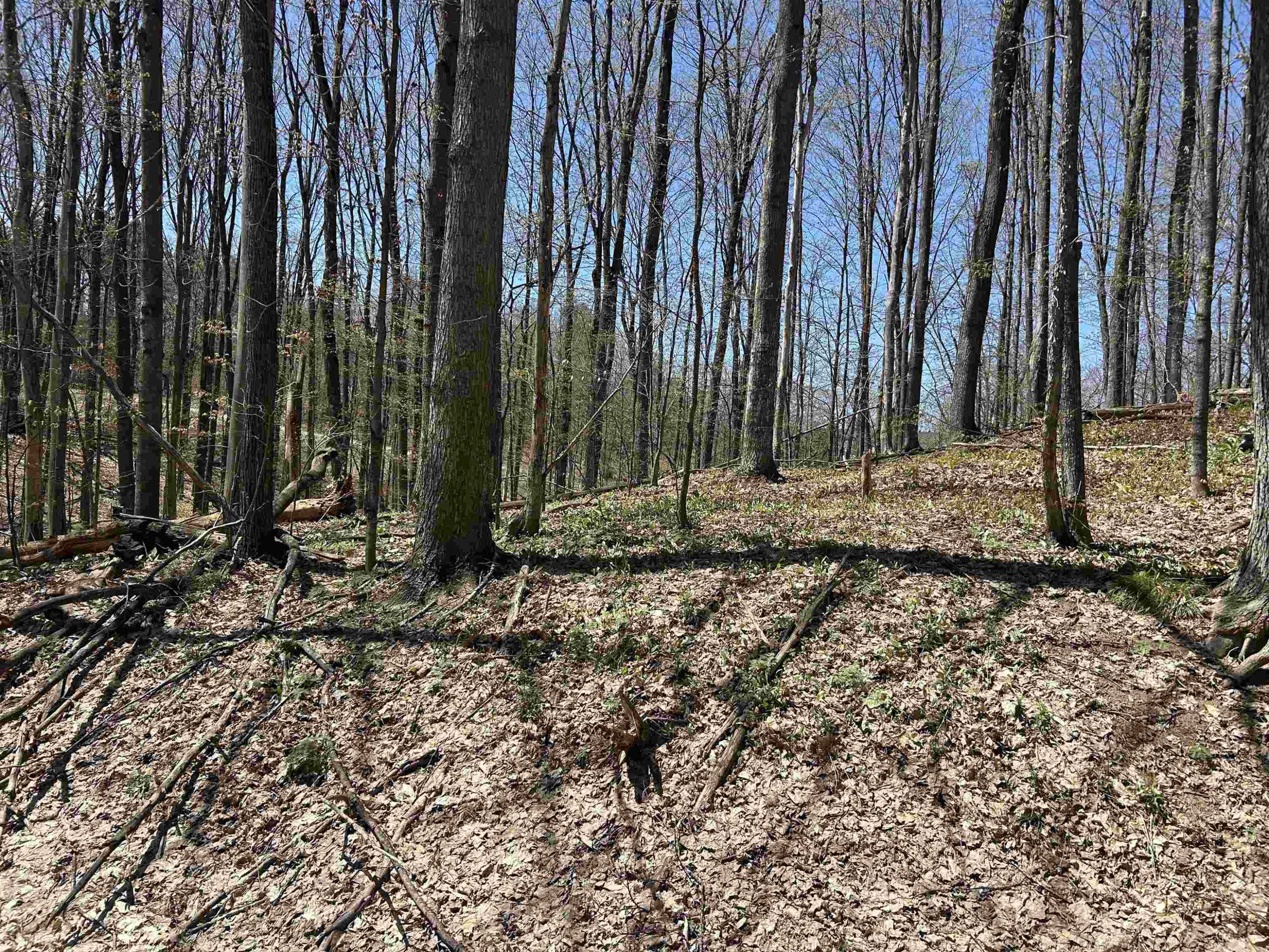 Bellaire, MI 49615,Lot 49 Val Disere Drive