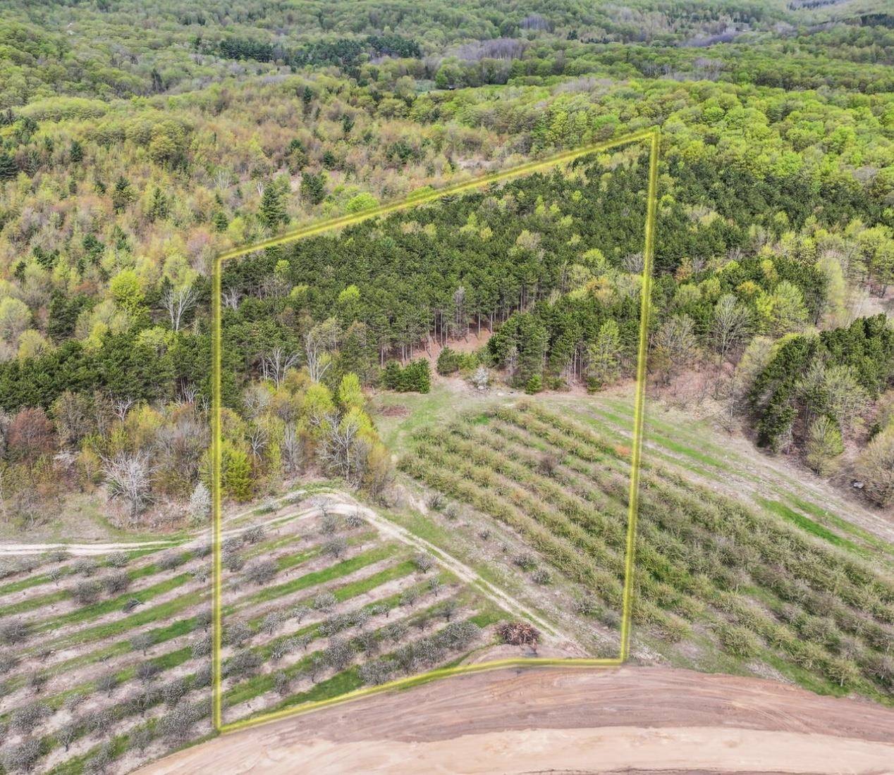 Glen Arbor, MI 49636,Parcel 6 Karnes Road