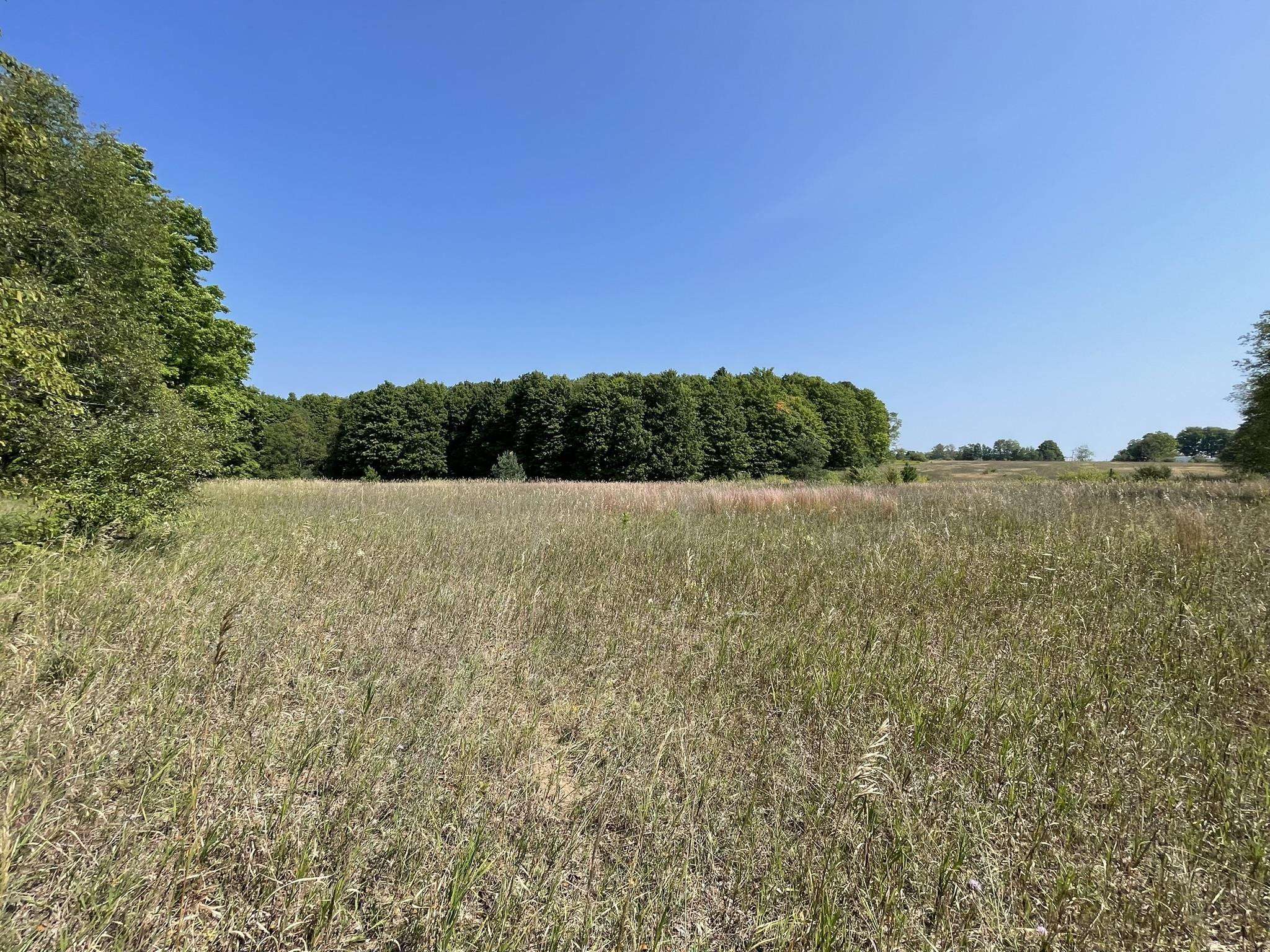 Kingsley, MI 49649,17+Acres Marsh Road