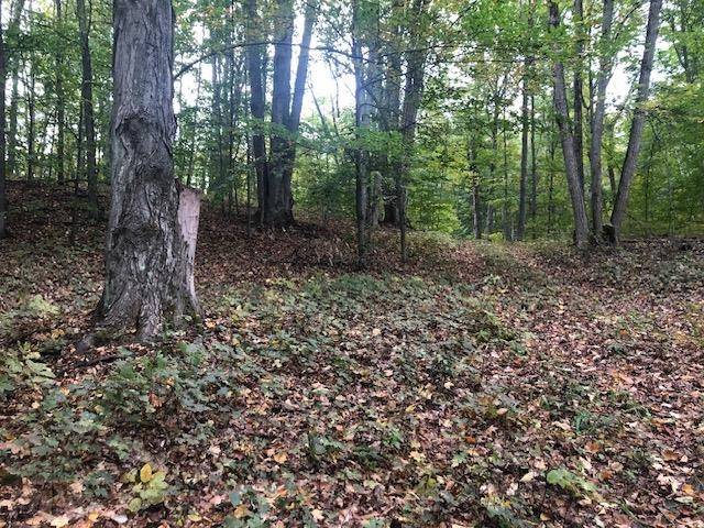 Northport, MI 49670,Parcel B Mariah Lane