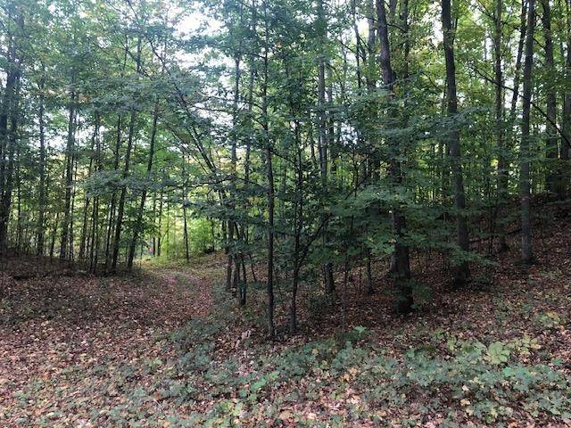 Northport, MI 49670,Parcel B Mariah Lane