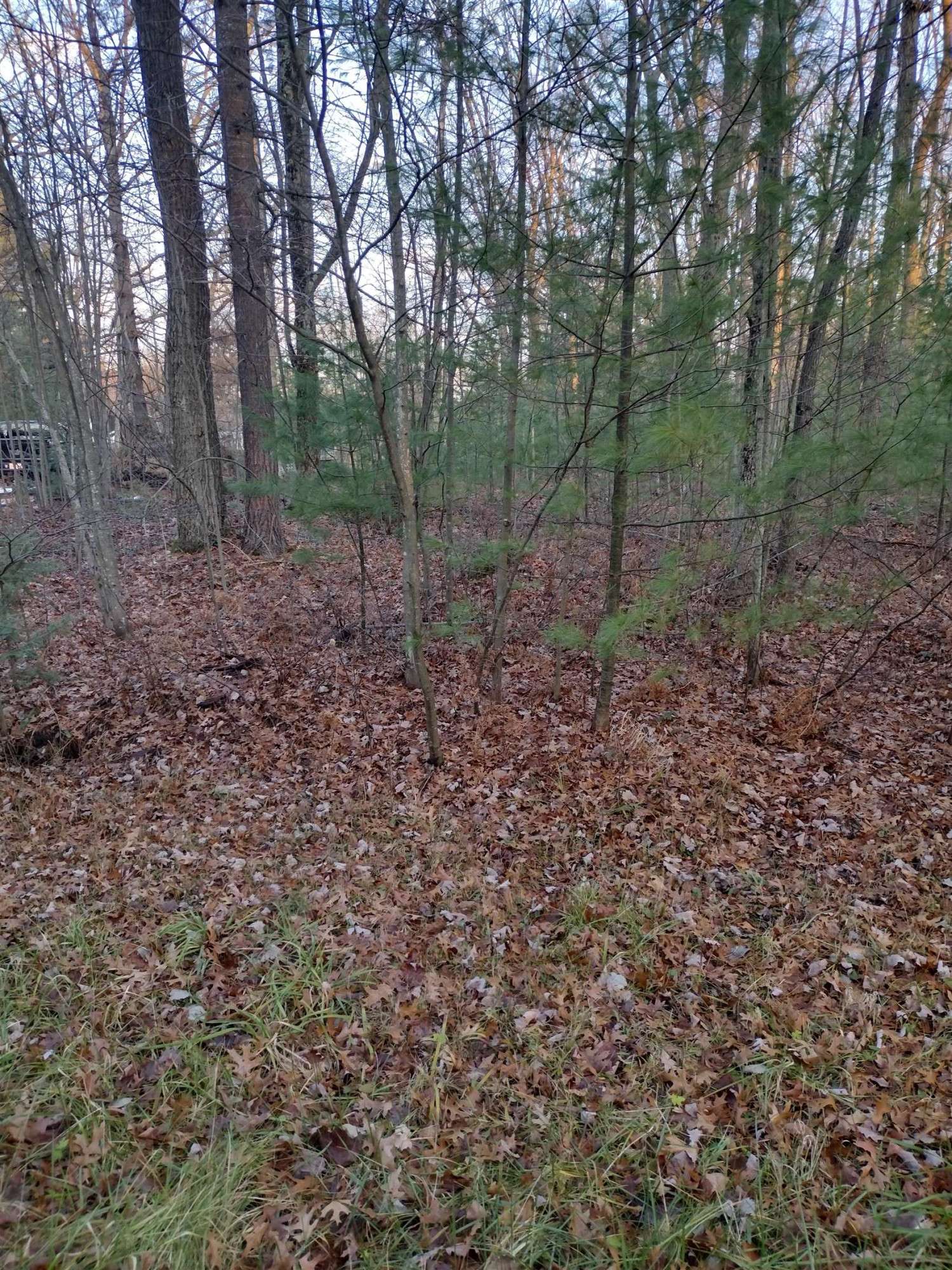 Prescott, MI 48756,XX Beals Drive