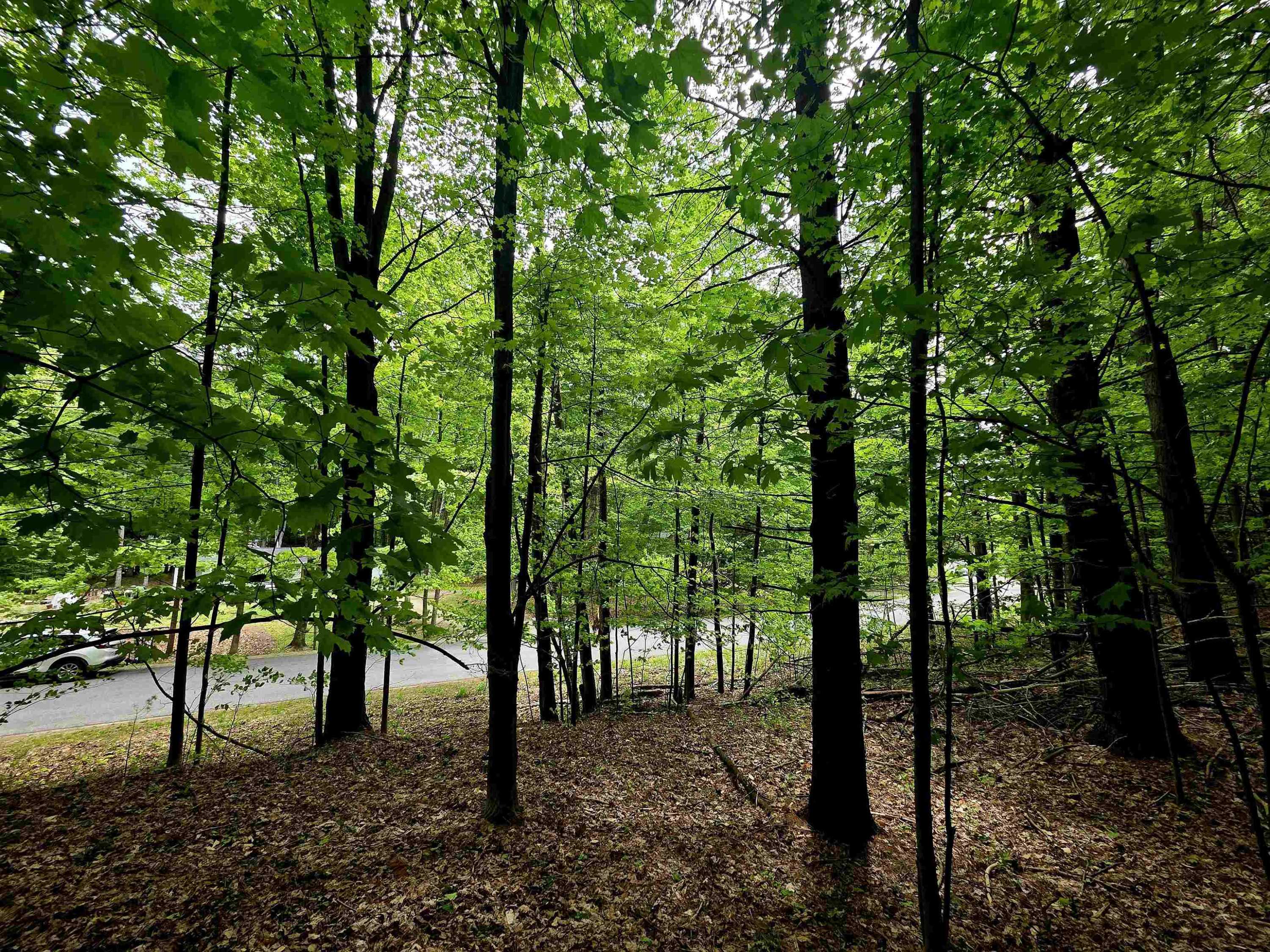 Kewadin, MI 49648,00 Sugar Bush Road