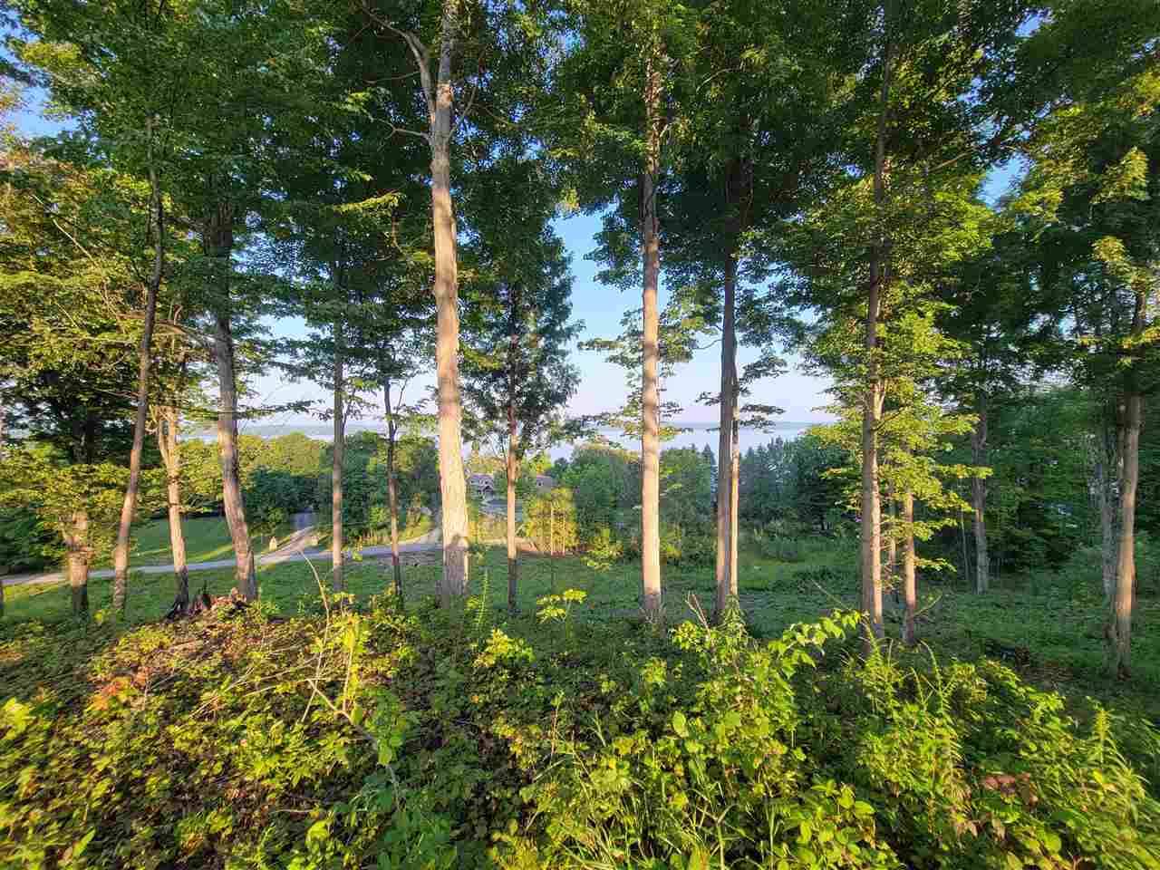 Rapid City, MI 49676,Lot 2 Torch Hills Lane