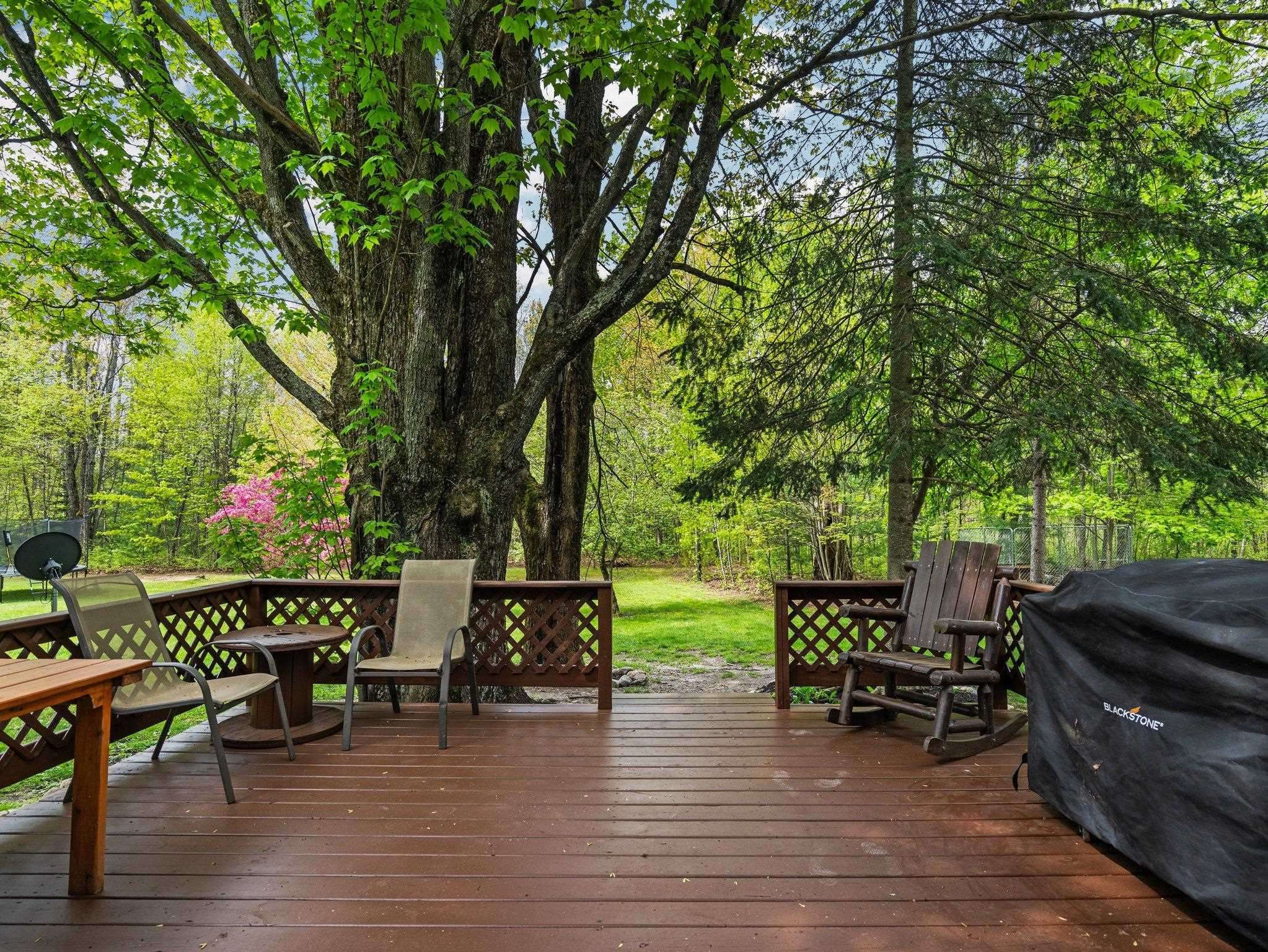 Fife Lake, MI 49633,12336 SW Coster Road