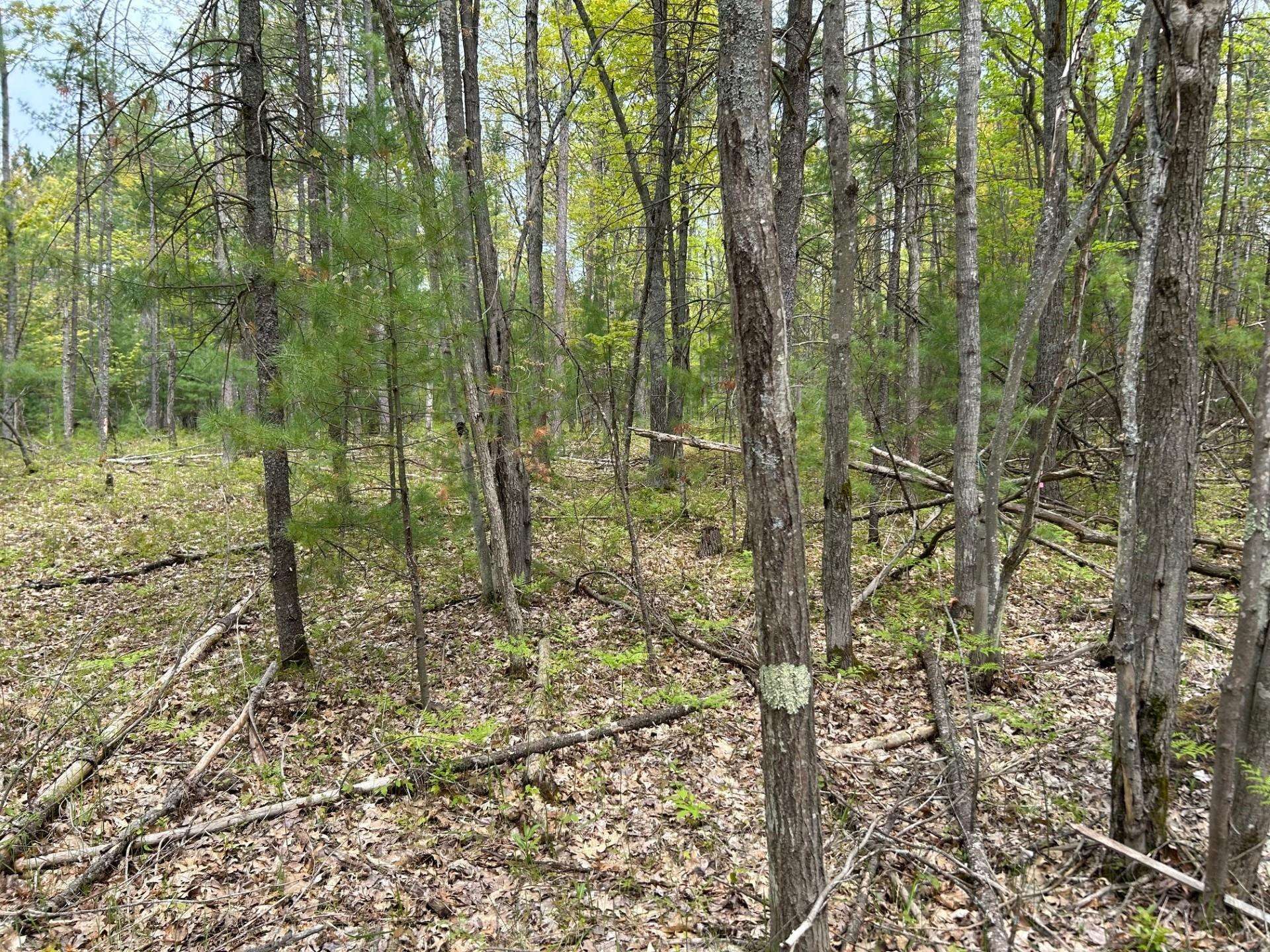 Traverse City, MI 49696,Muncie View Trail