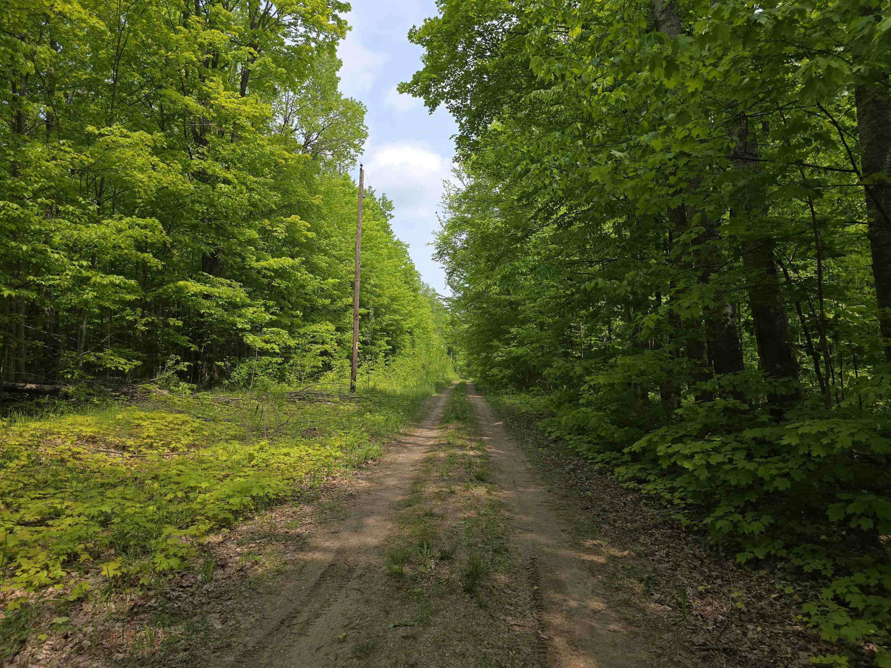 Mancelona, MI 49659,000 N Partridge Lane